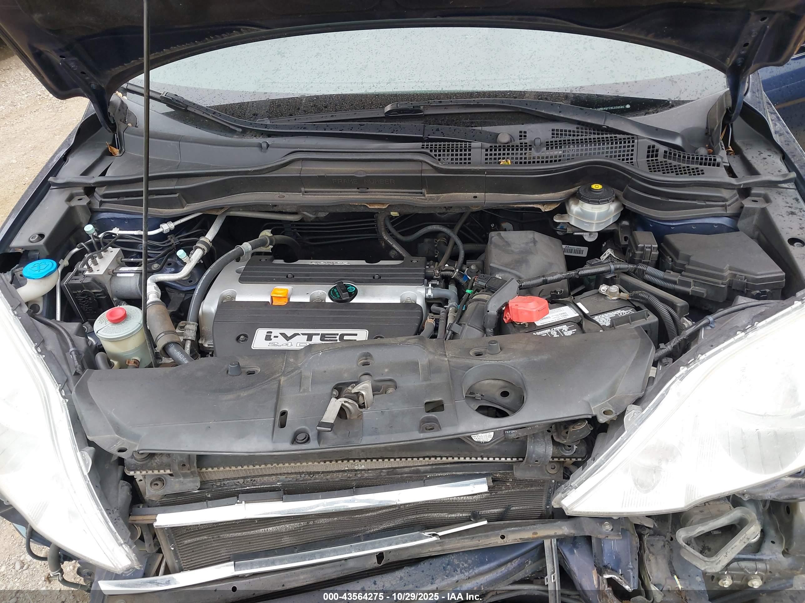 HONDA CR-V image 10