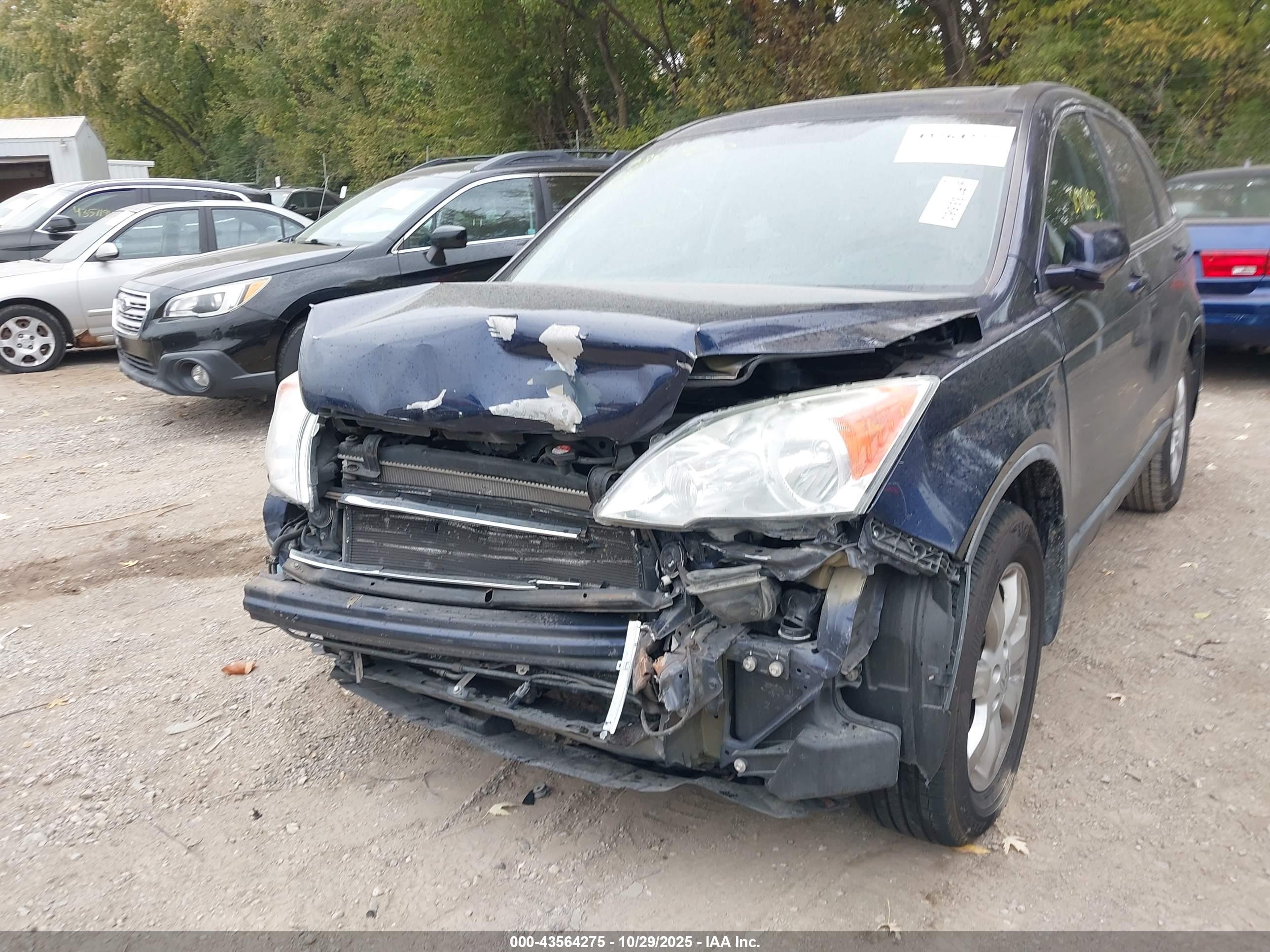 HONDA CR-V image 6