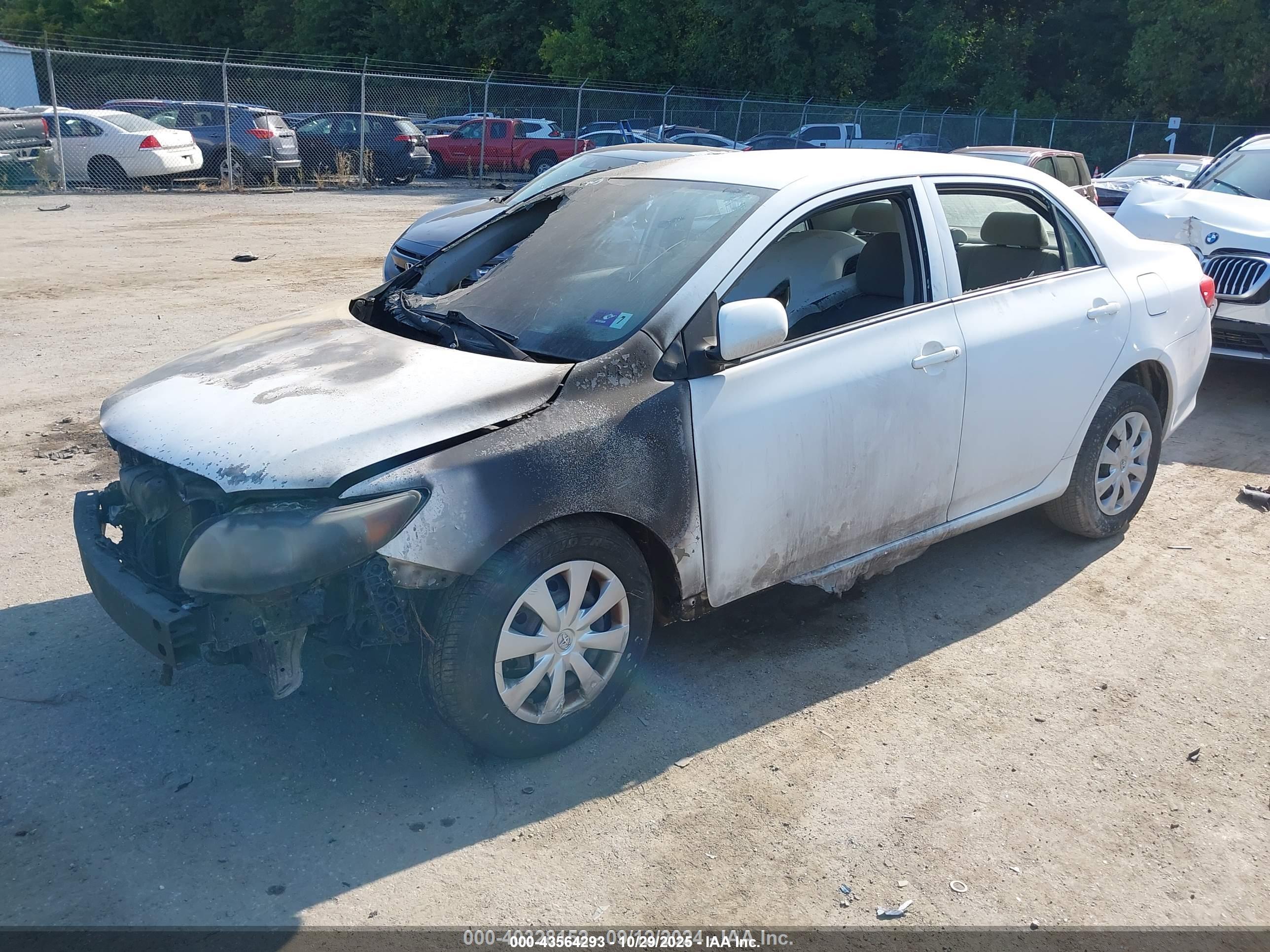 TOYOTA COROLLA image 2