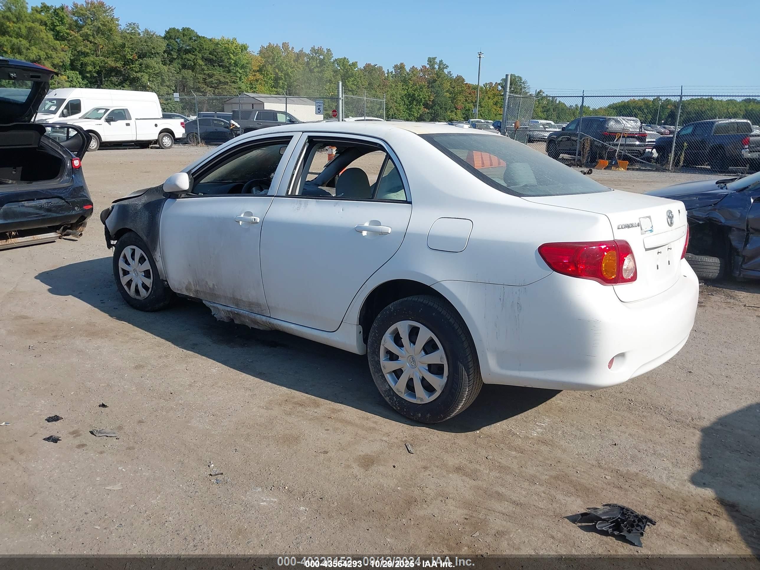 TOYOTA COROLLA image 3