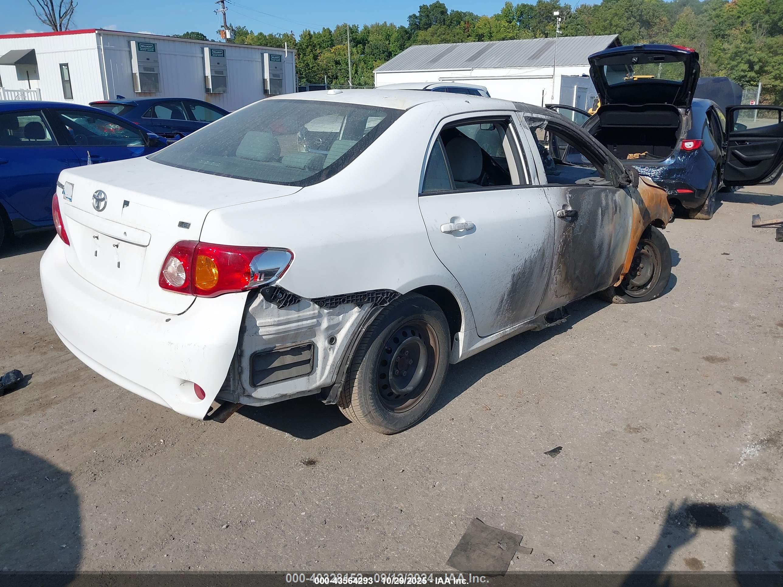 TOYOTA COROLLA image 4