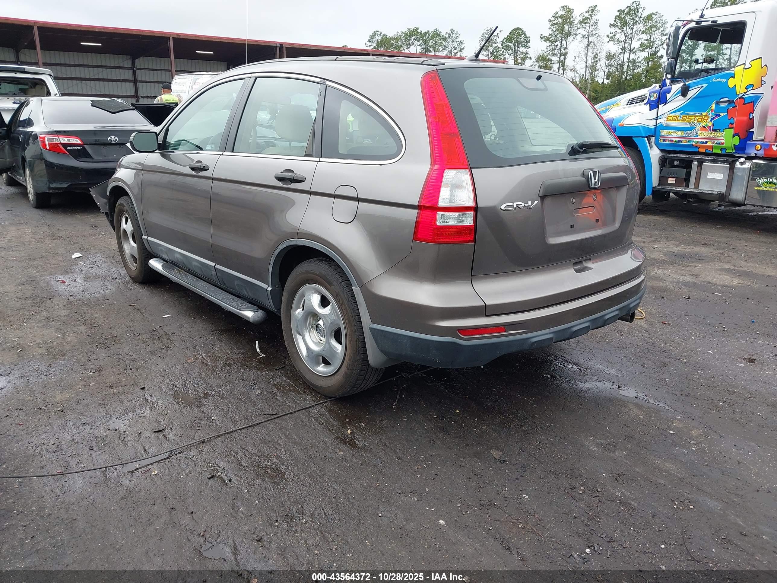 HONDA CR-V image 3