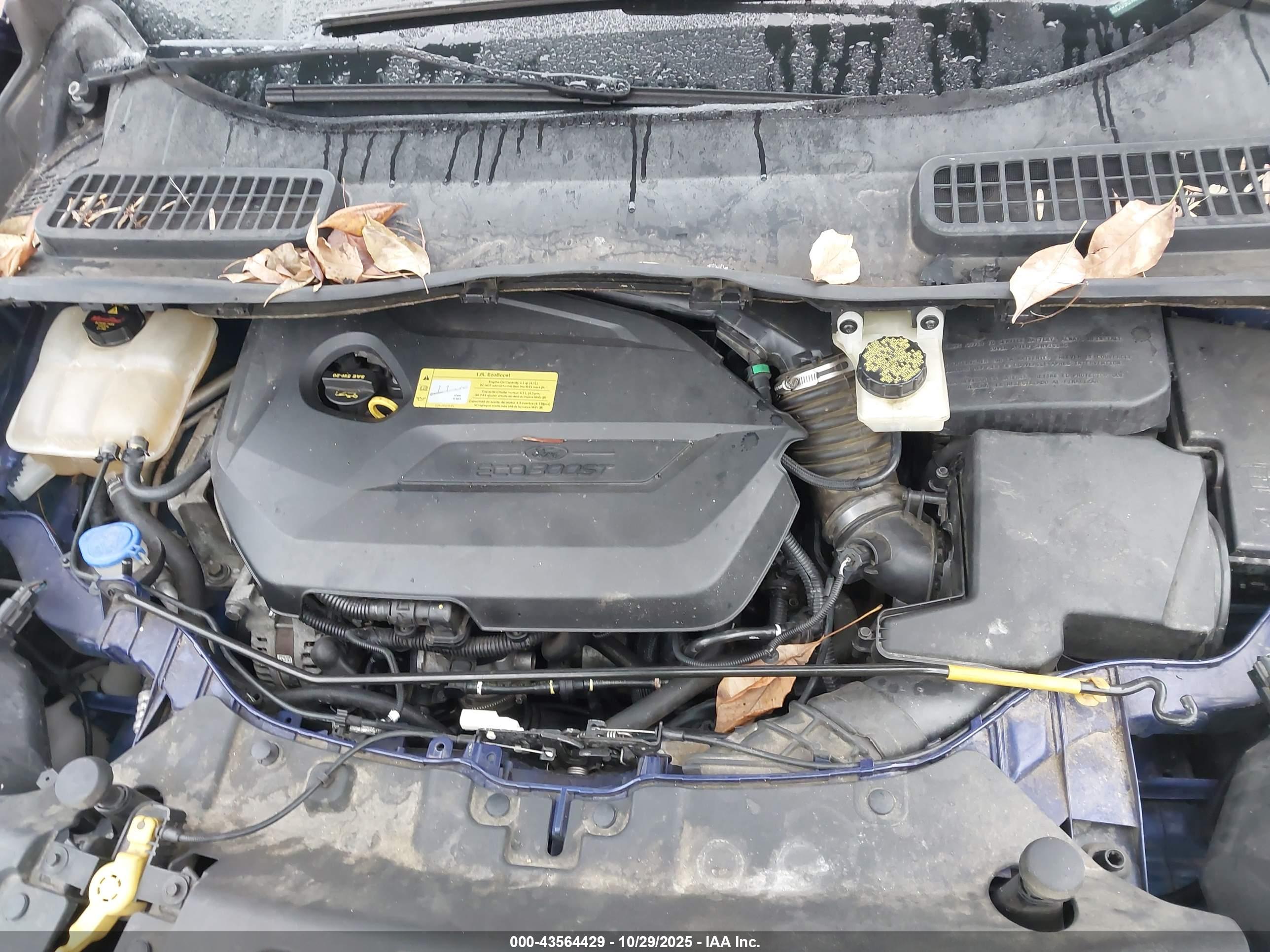 FORD ESCAPE image 10