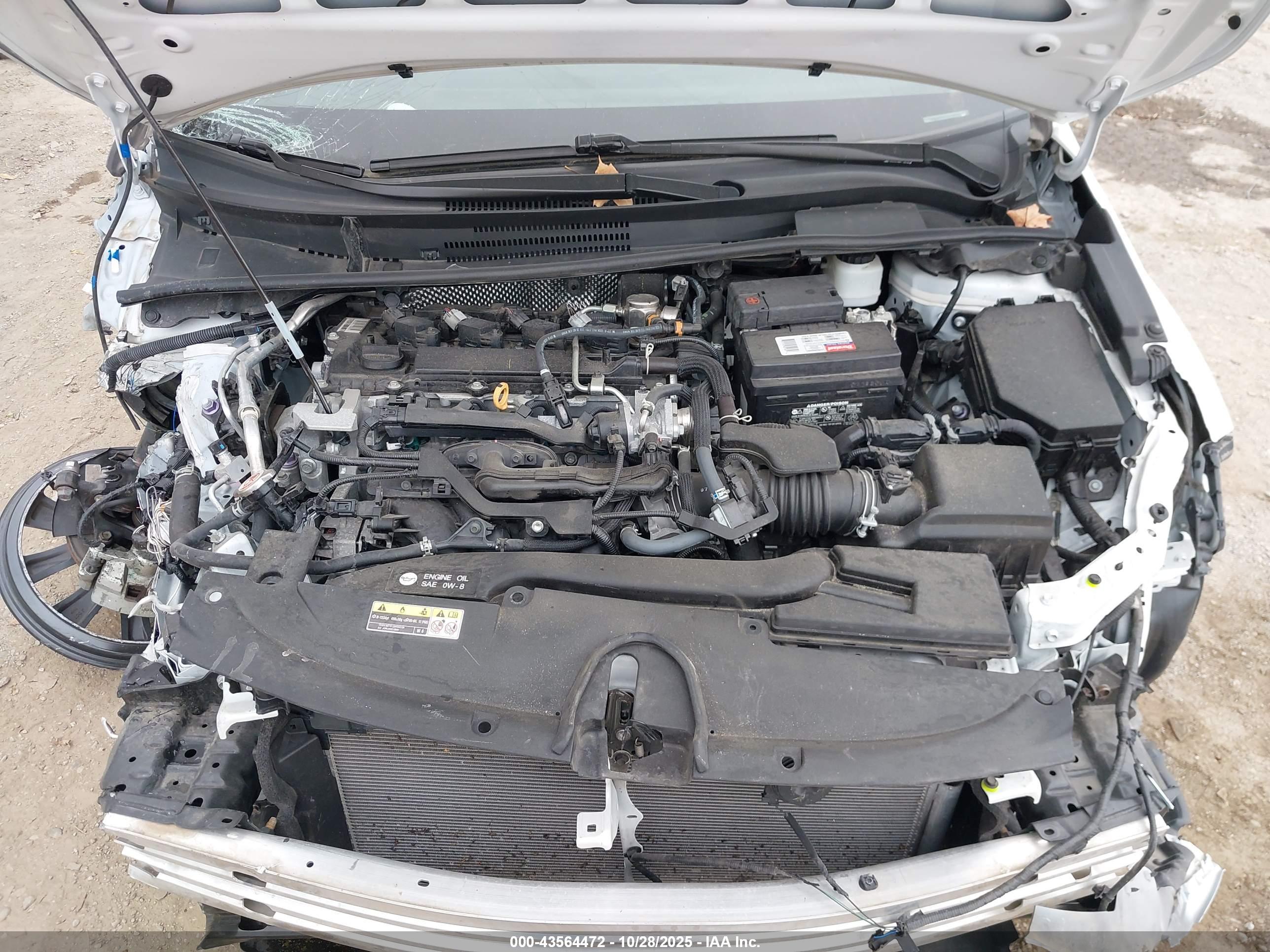 TOYOTA COROLLA image 10