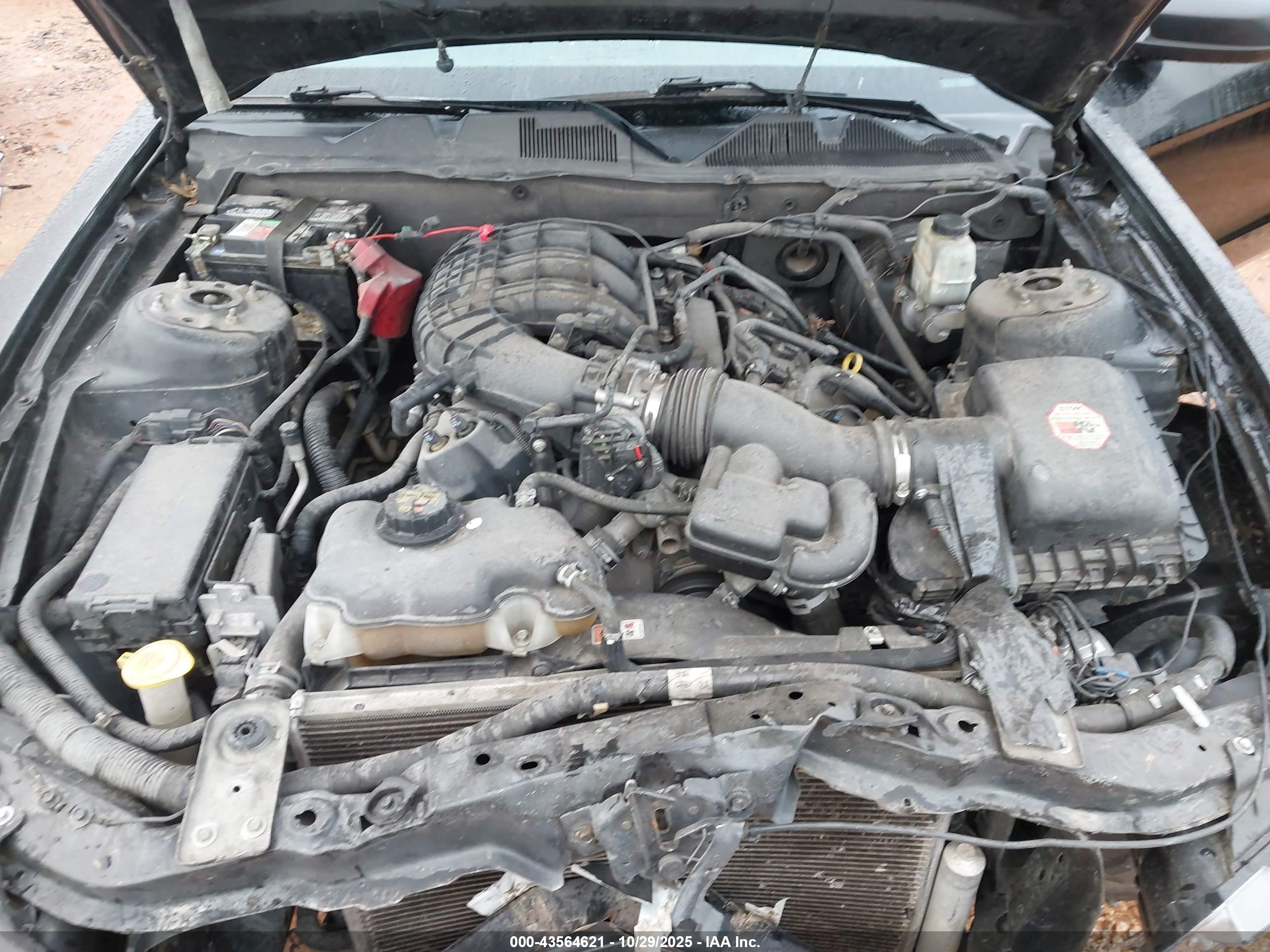 FORD MUSTANG image 10