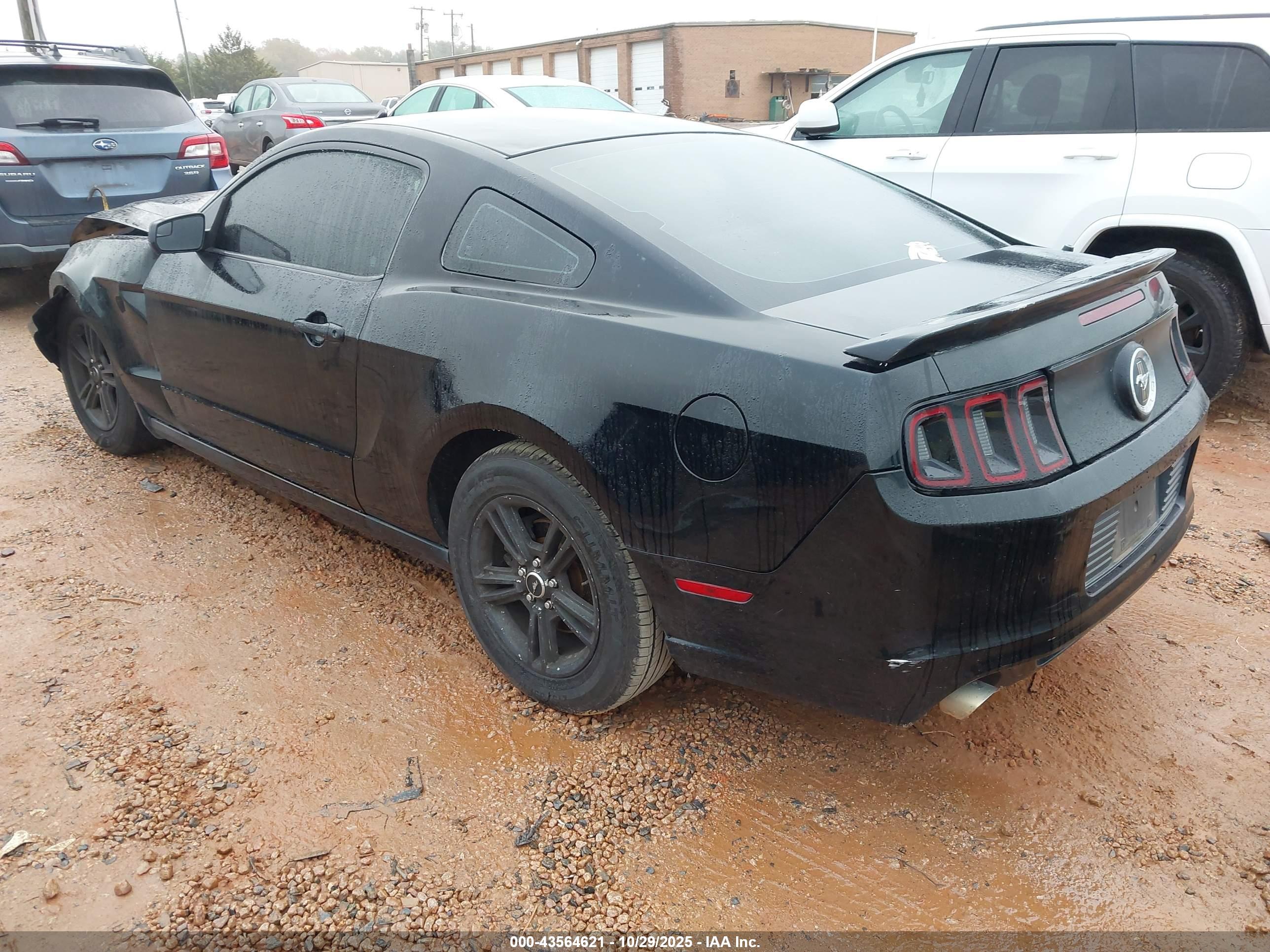 FORD MUSTANG image 3