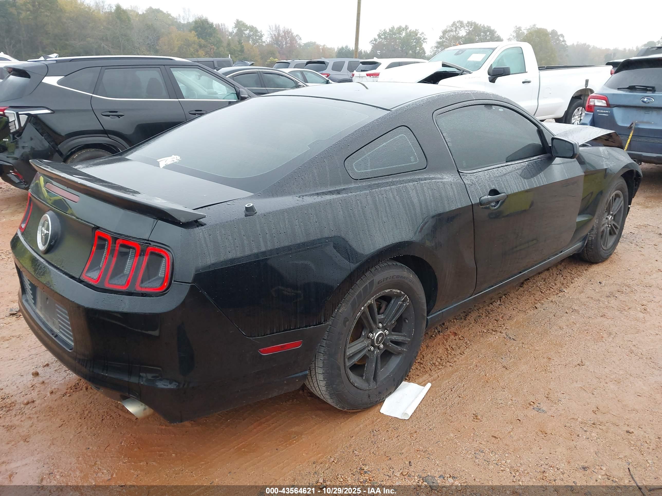 FORD MUSTANG image 4