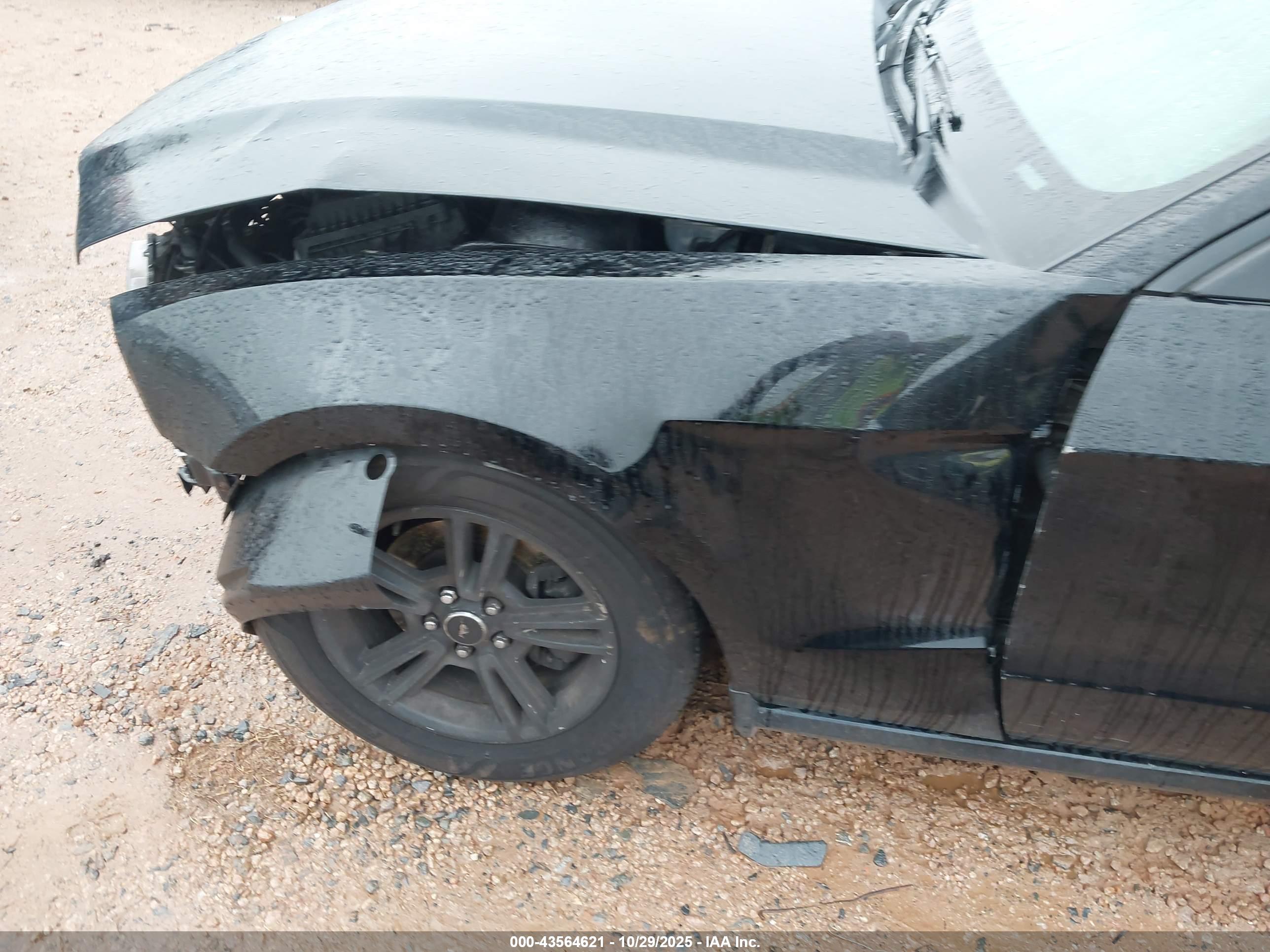 FORD MUSTANG image 6