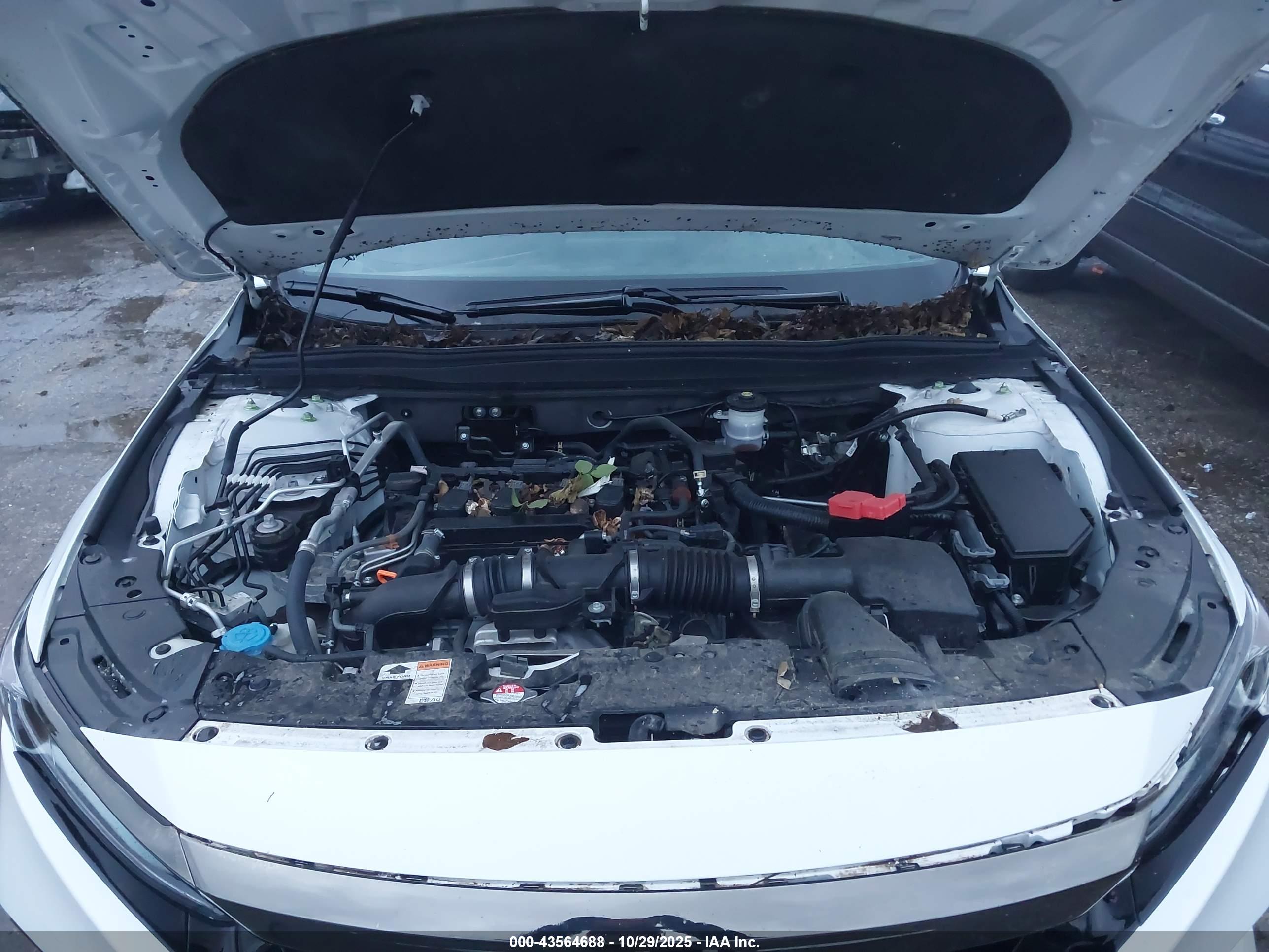 HONDA ACCORD image 10