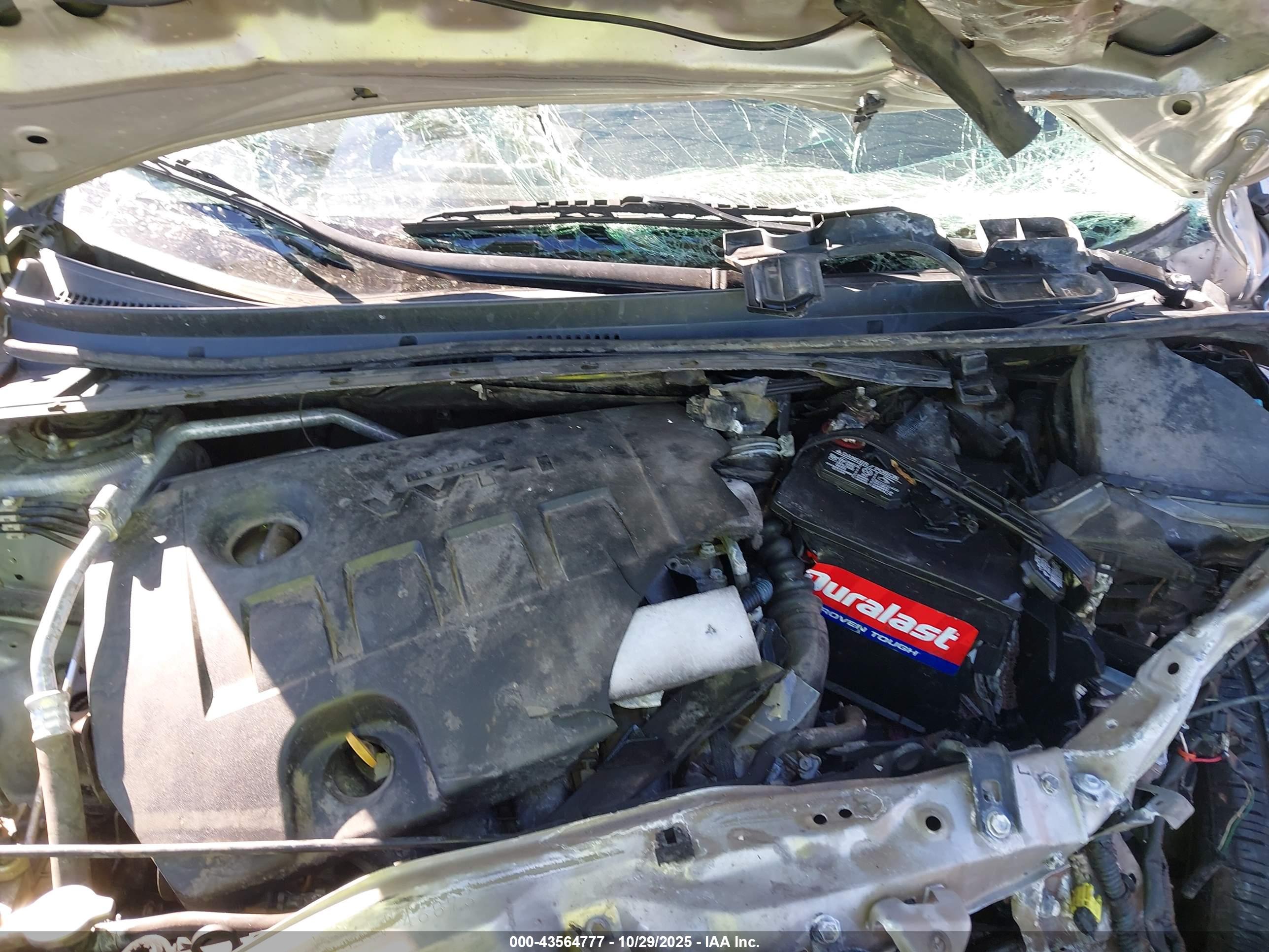TOYOTA COROLLA image 10