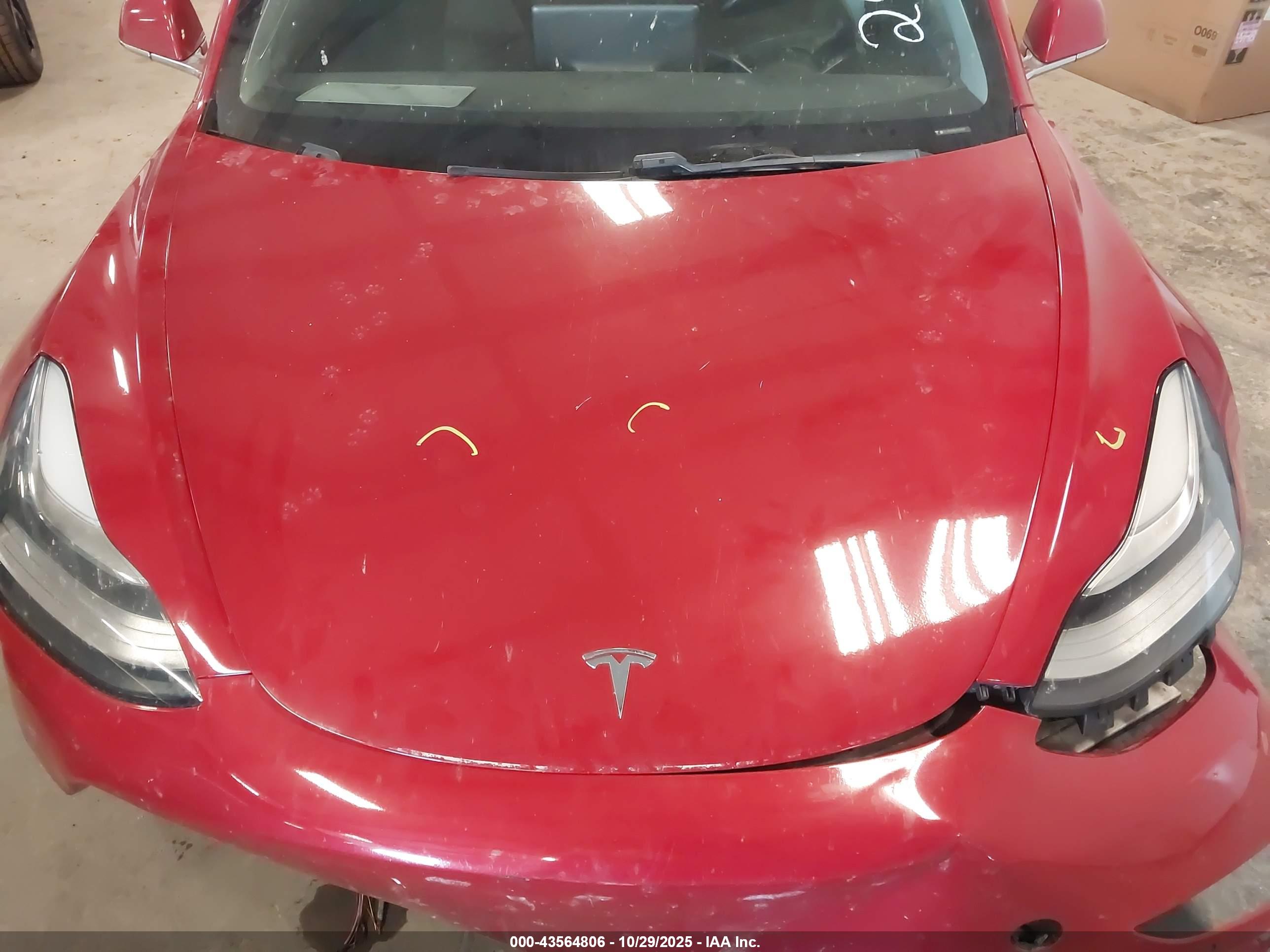 TESLA MODEL image 10
