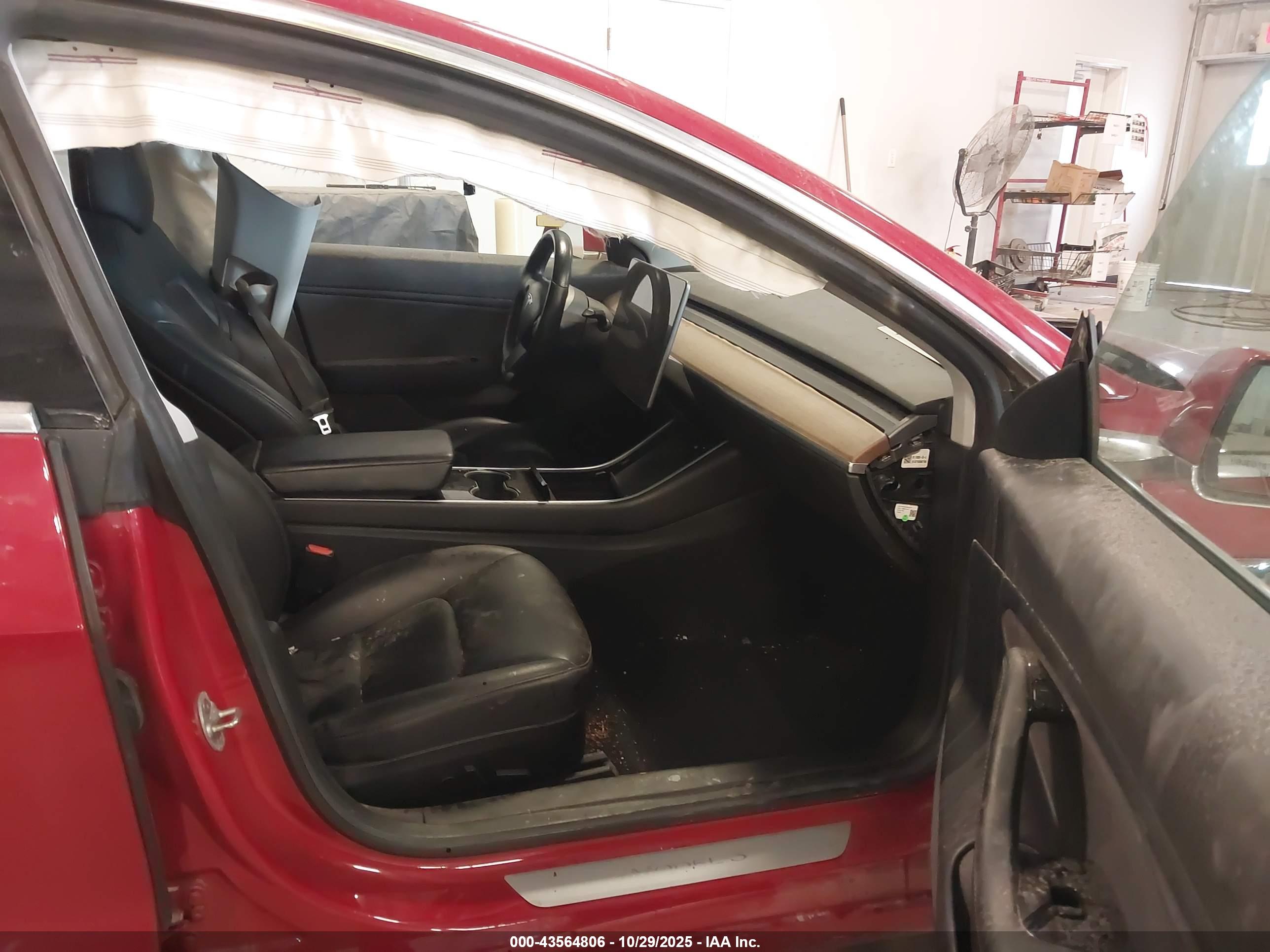 TESLA MODEL image 5