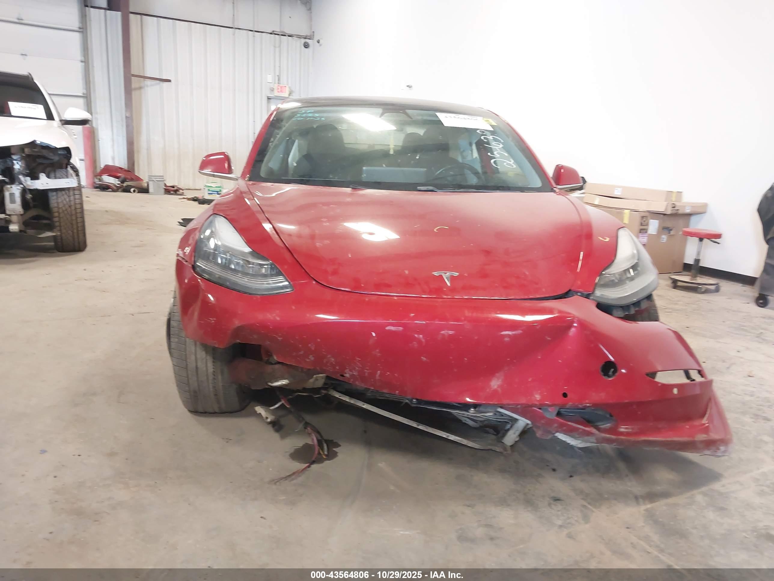 TESLA MODEL image 6