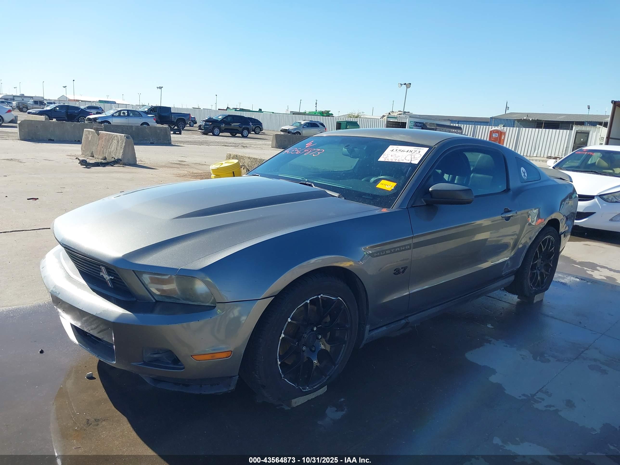 FORD MUSTANG image 2