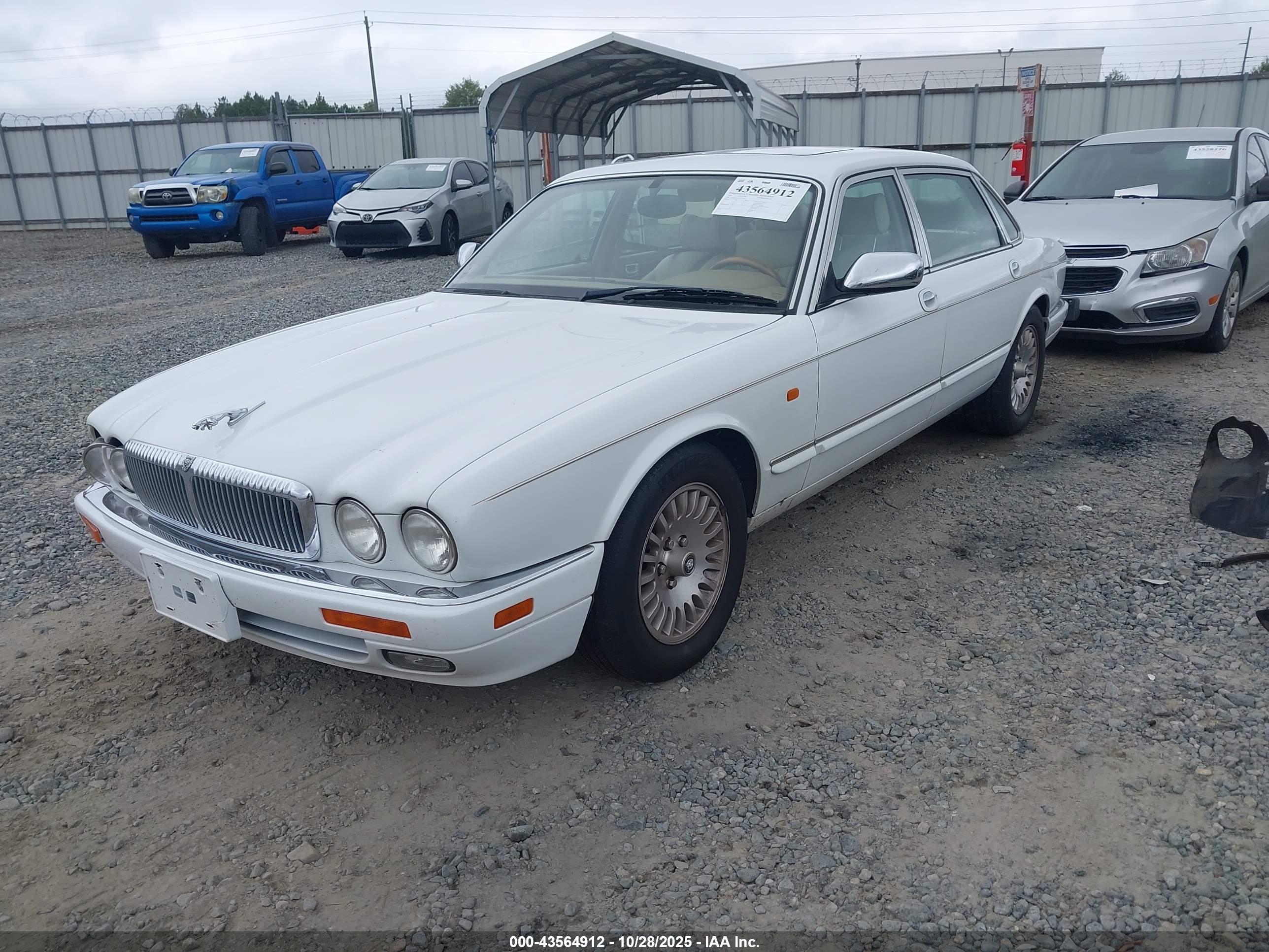 JAGUAR VANDENPLAS image 2