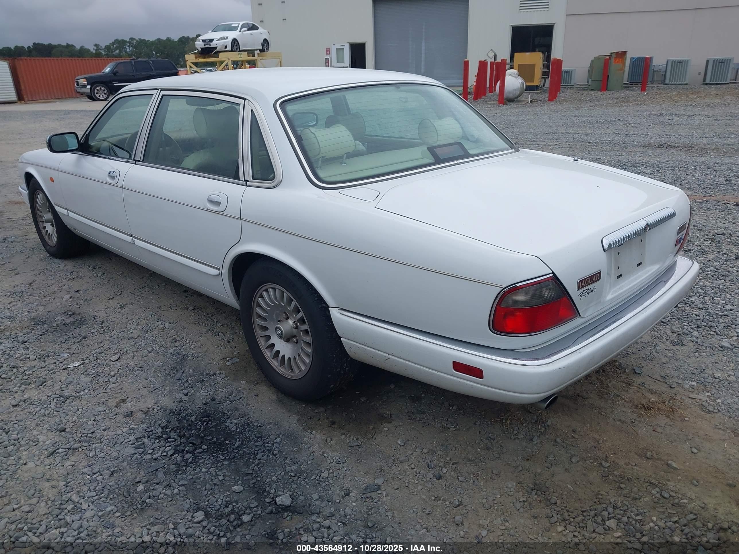 JAGUAR VANDENPLAS image 3