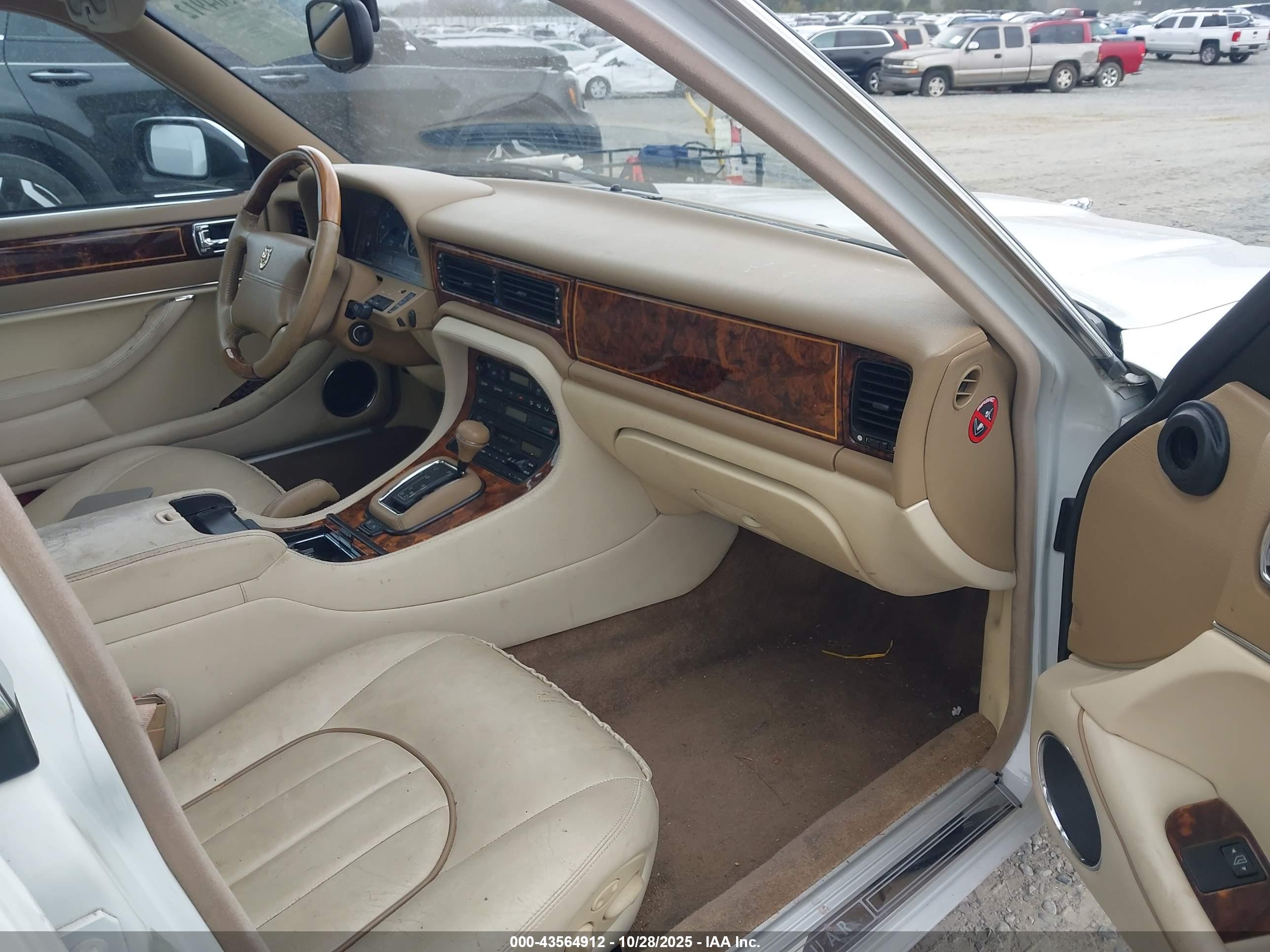 JAGUAR VANDENPLAS image 5