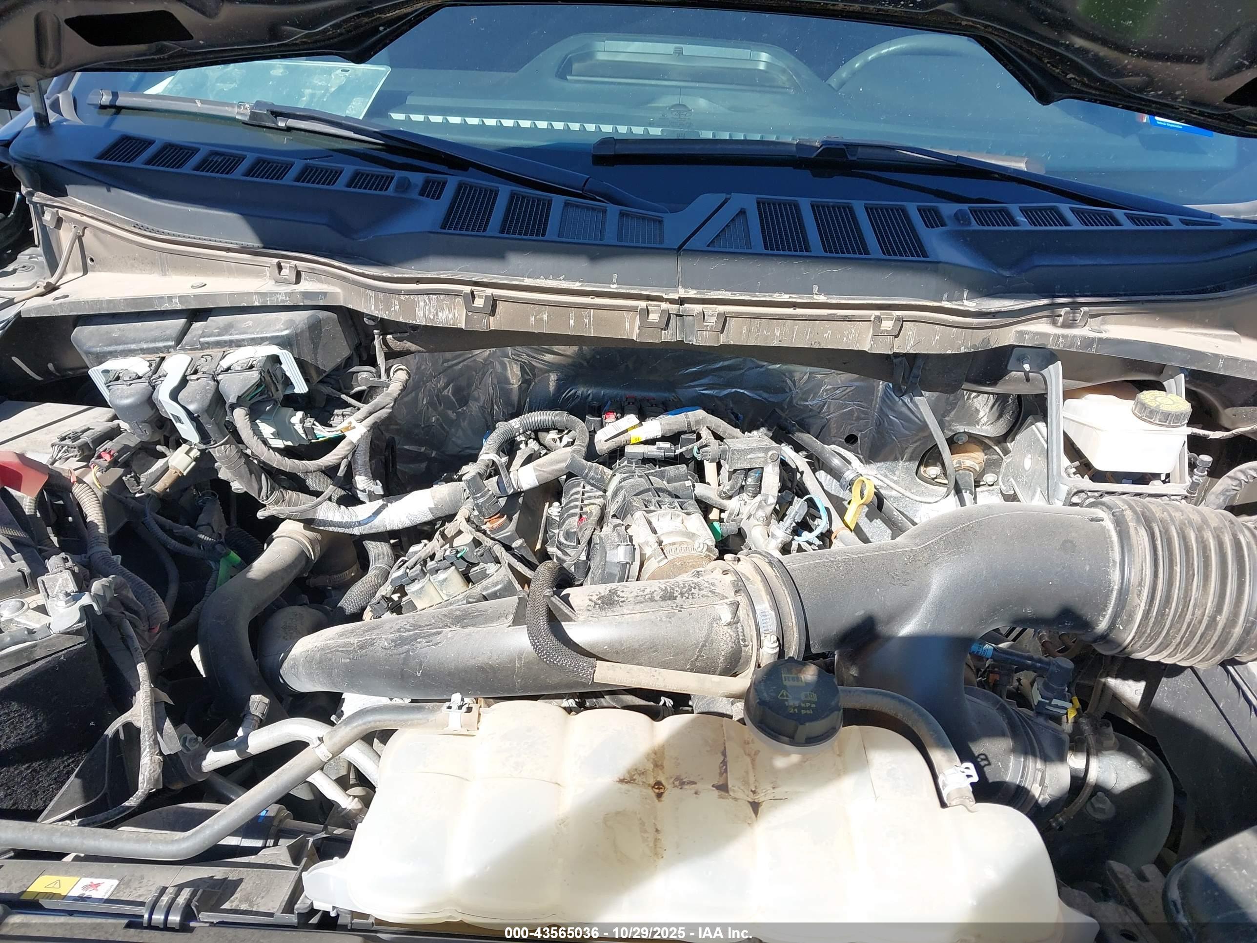 FORD F-150 image 10