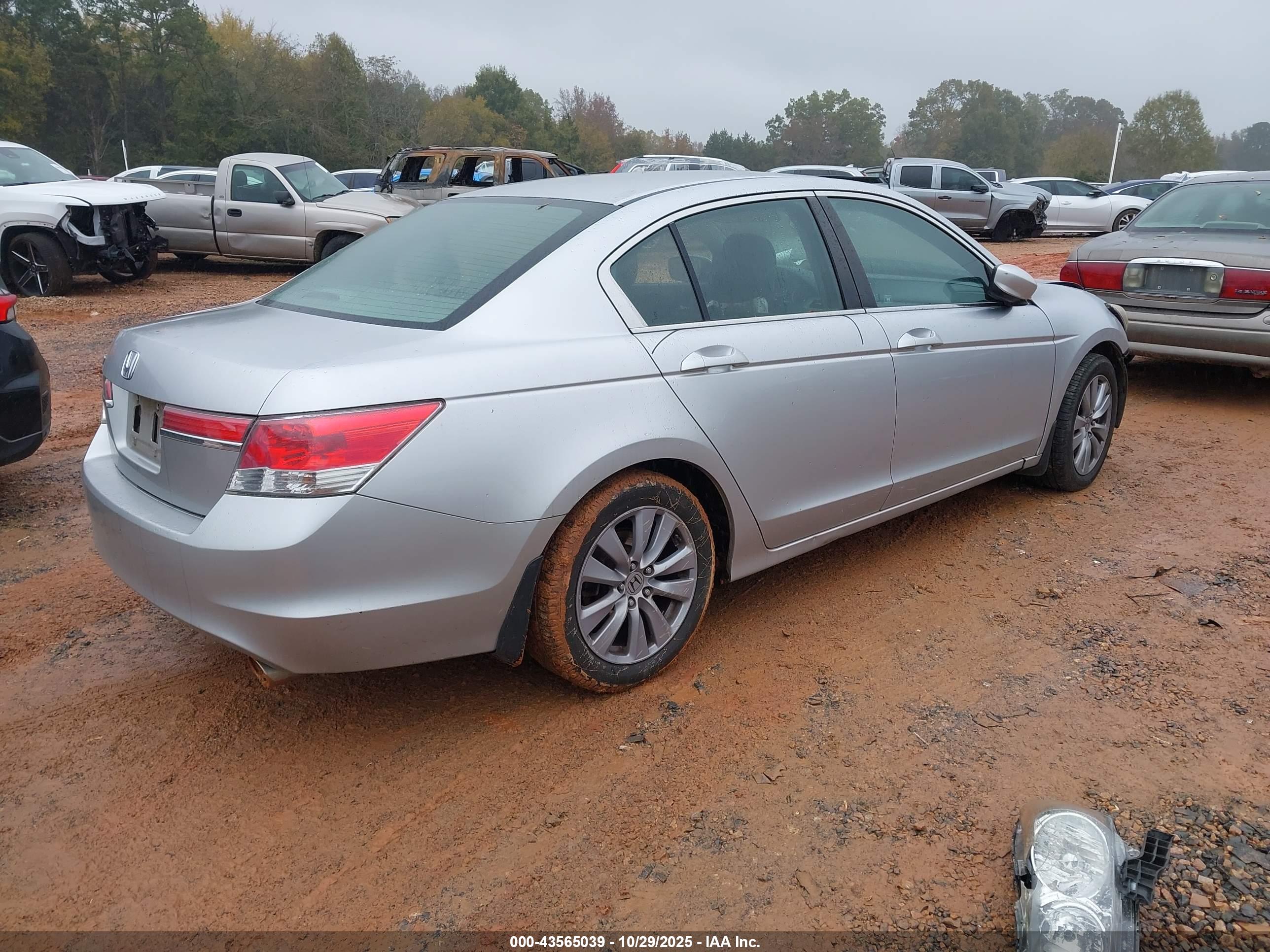 HONDA ACCORD image 4