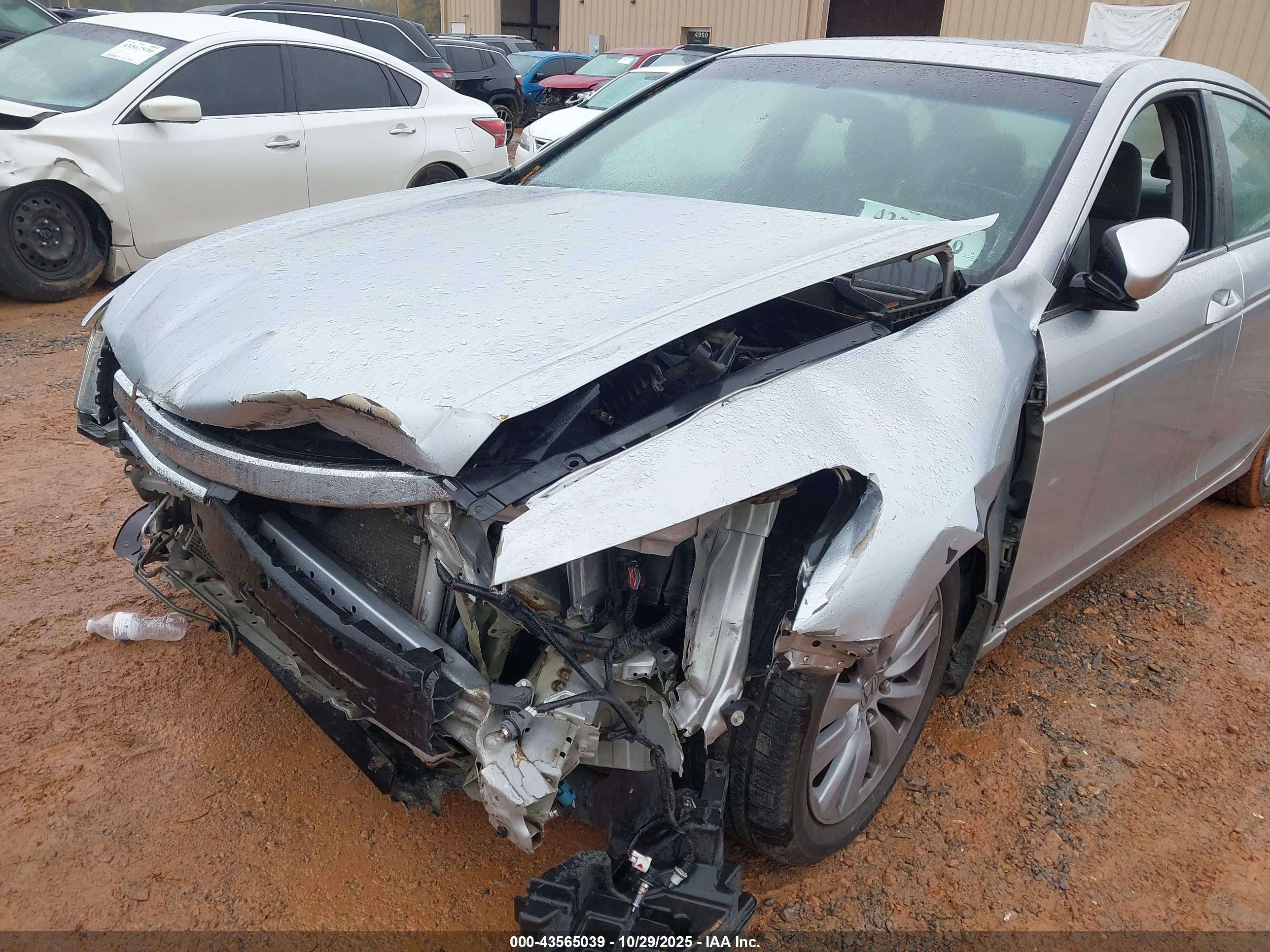 HONDA ACCORD image 6