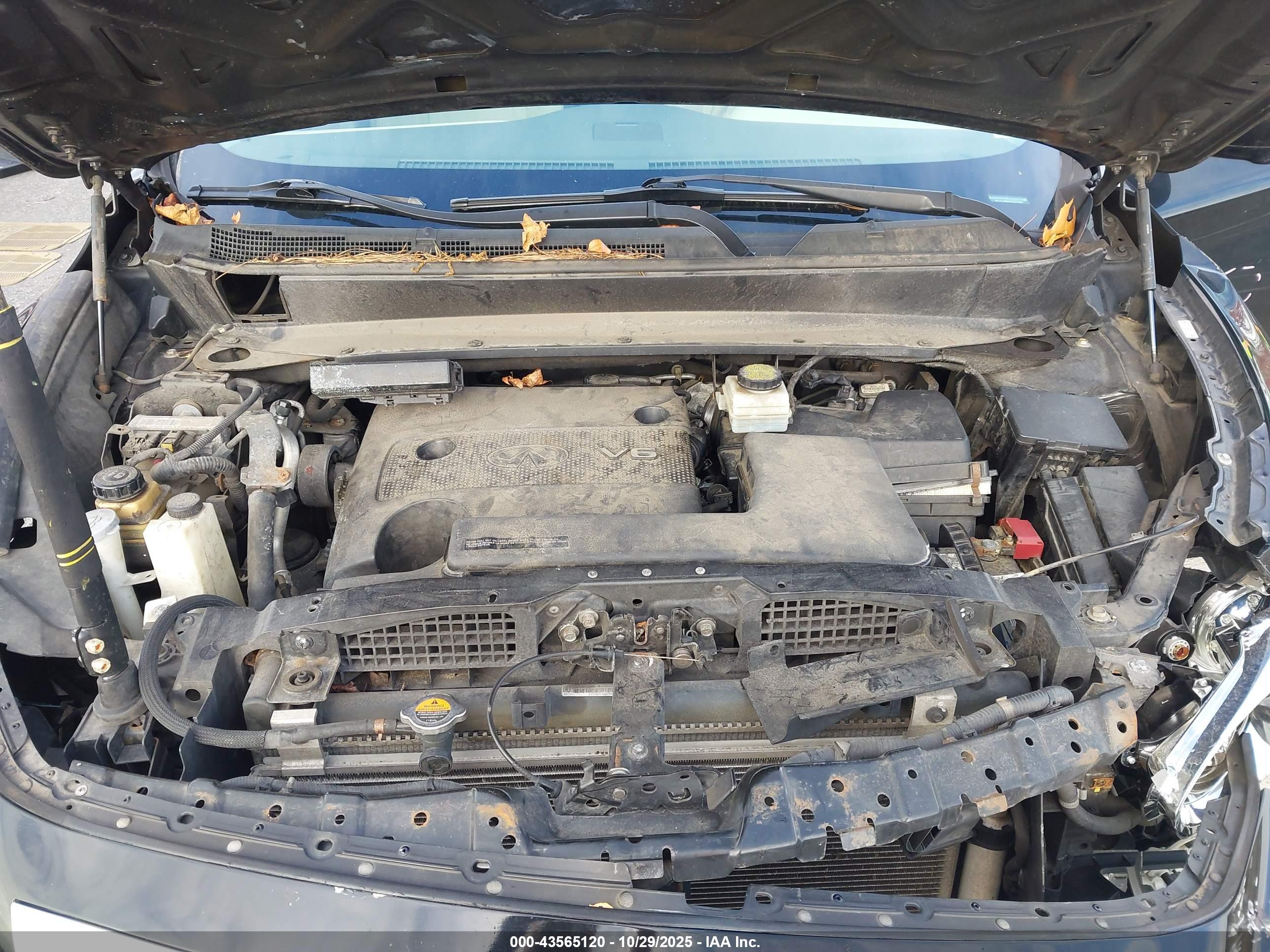 INFINITI JX35 image 10