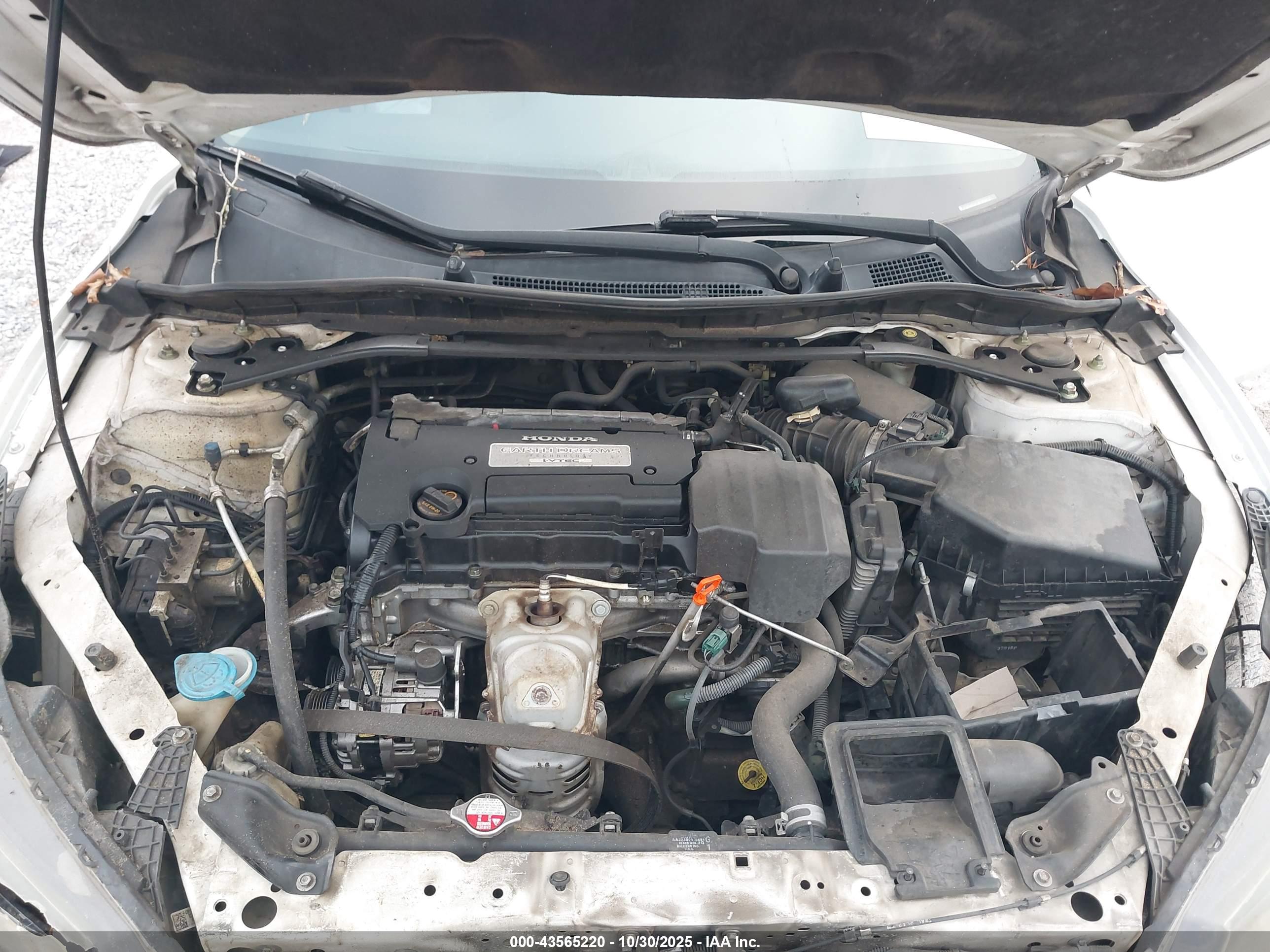 HONDA ACCORD image 10