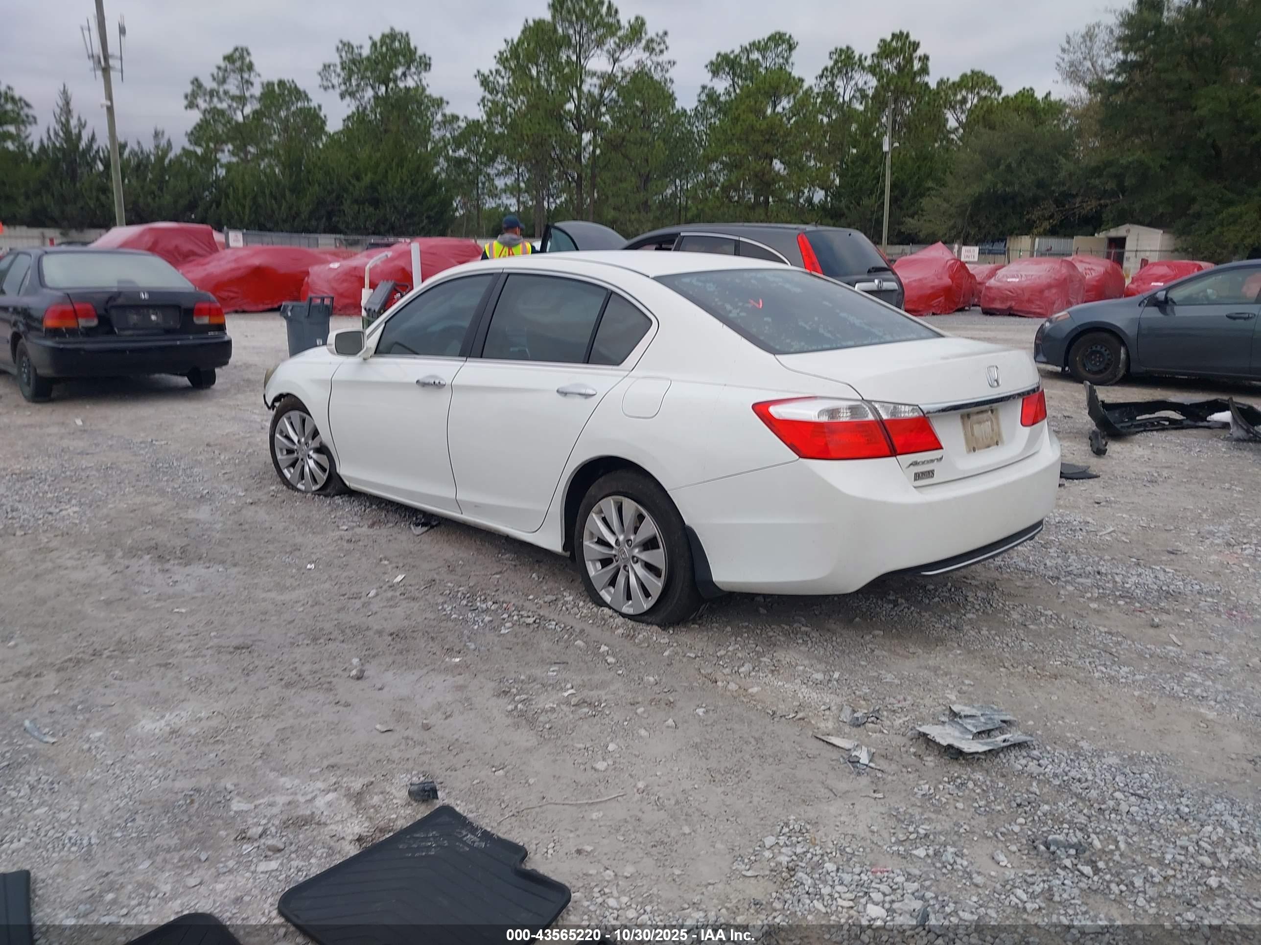 HONDA ACCORD image 3