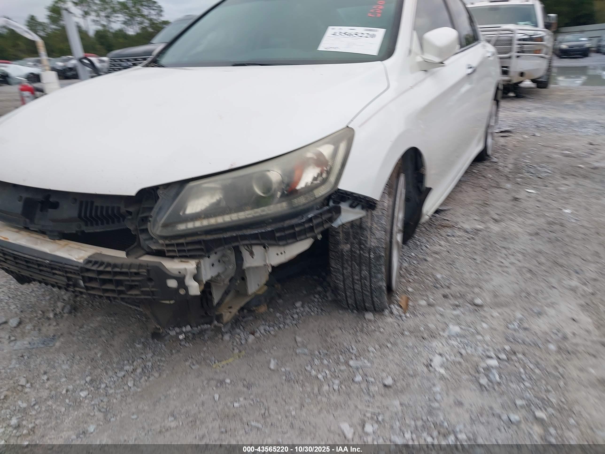 HONDA ACCORD image 6