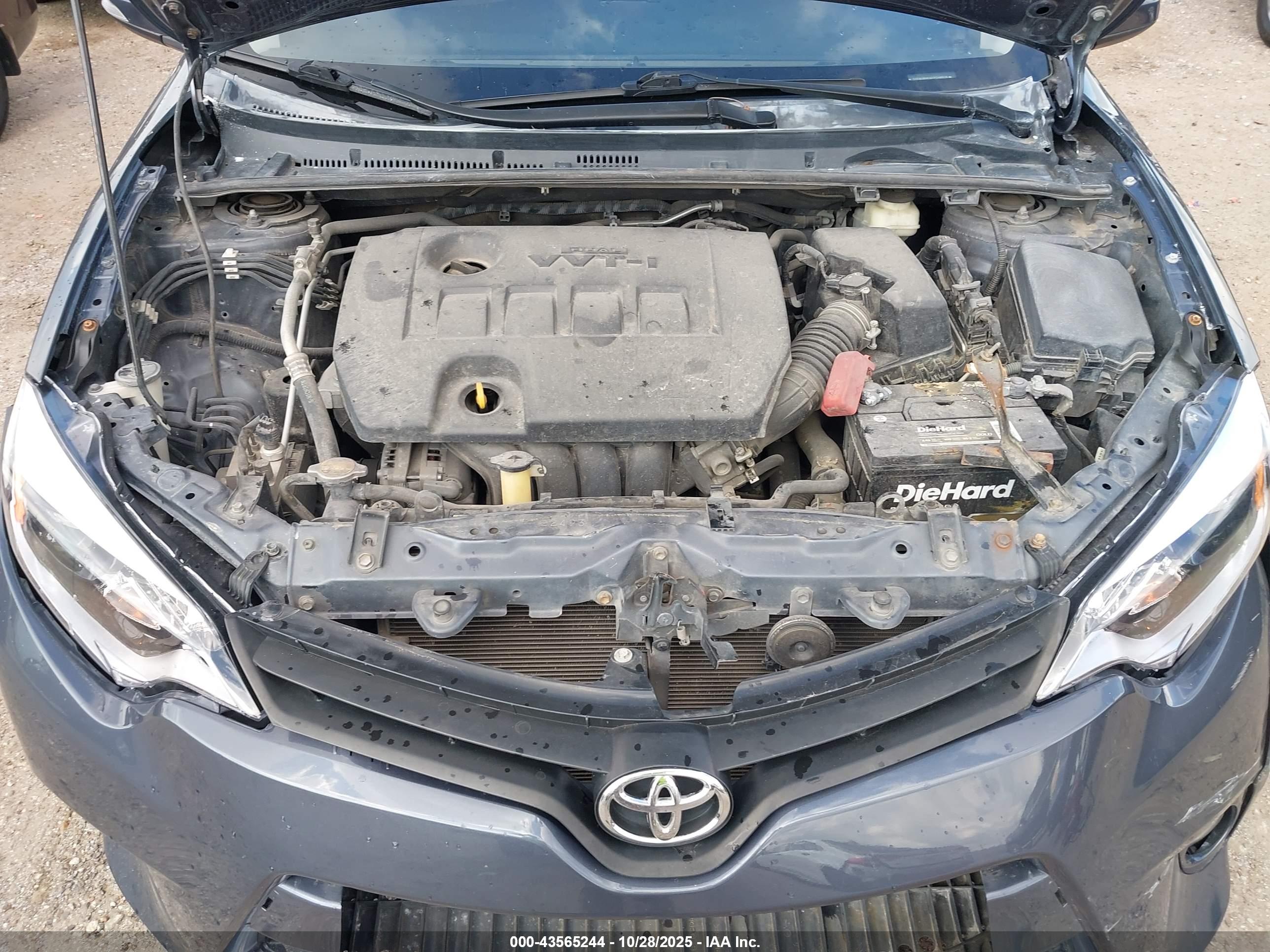 TOYOTA COROLLA image 10