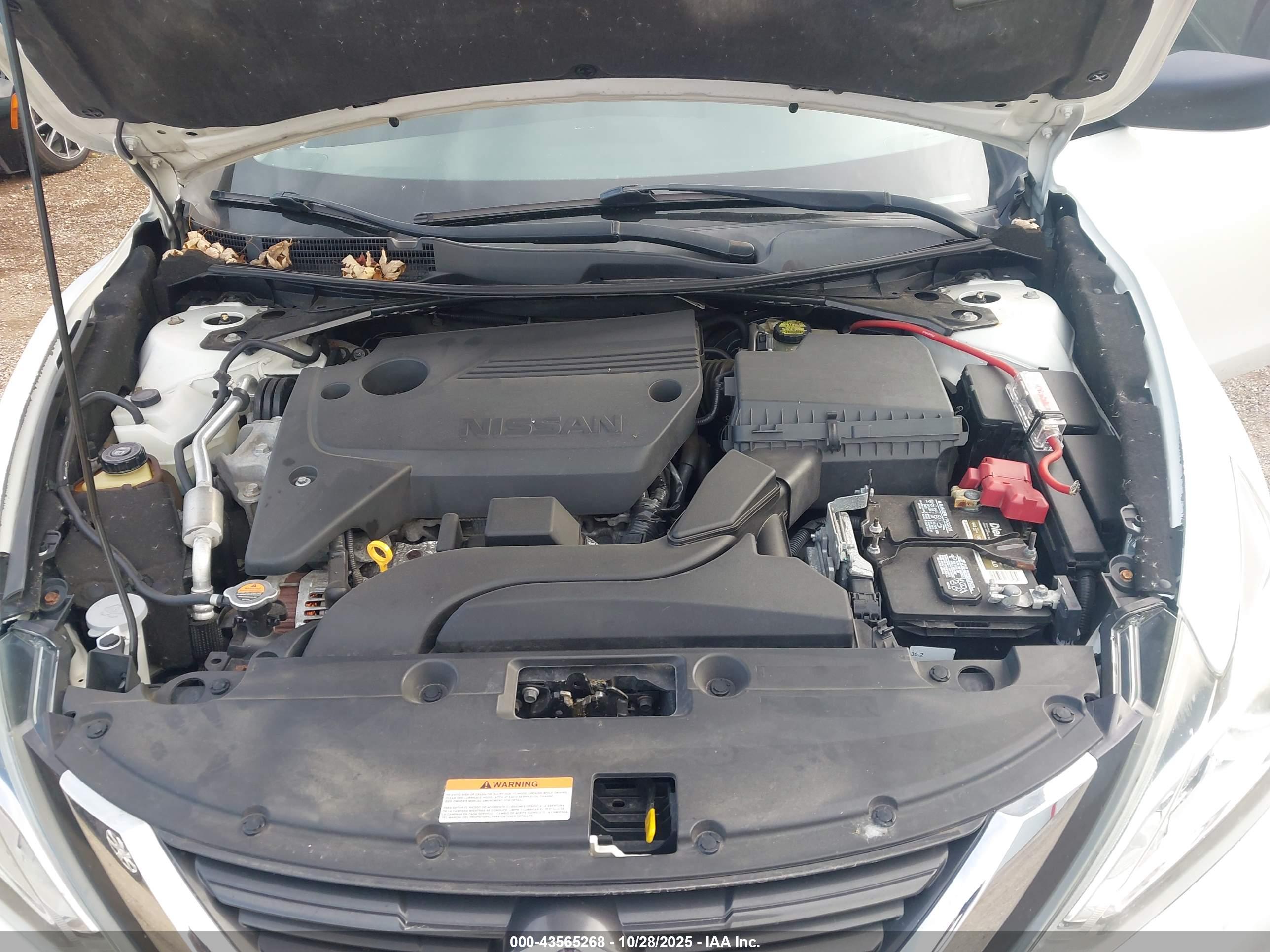 NISSAN ALTIMA image 10
