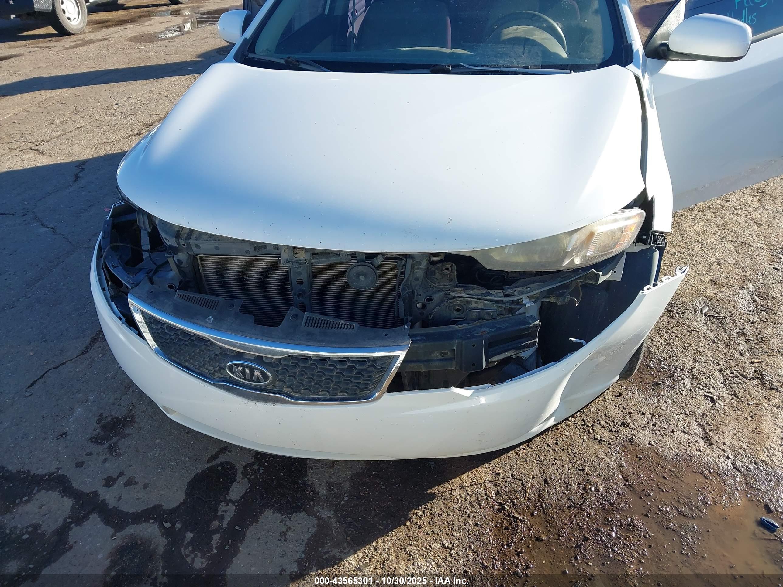 KIA FORTE image 6