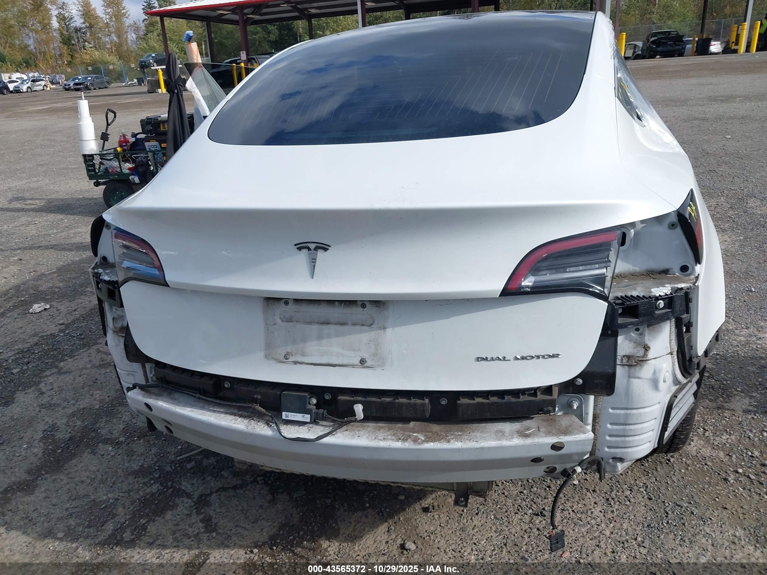 TESLA MODEL image 6