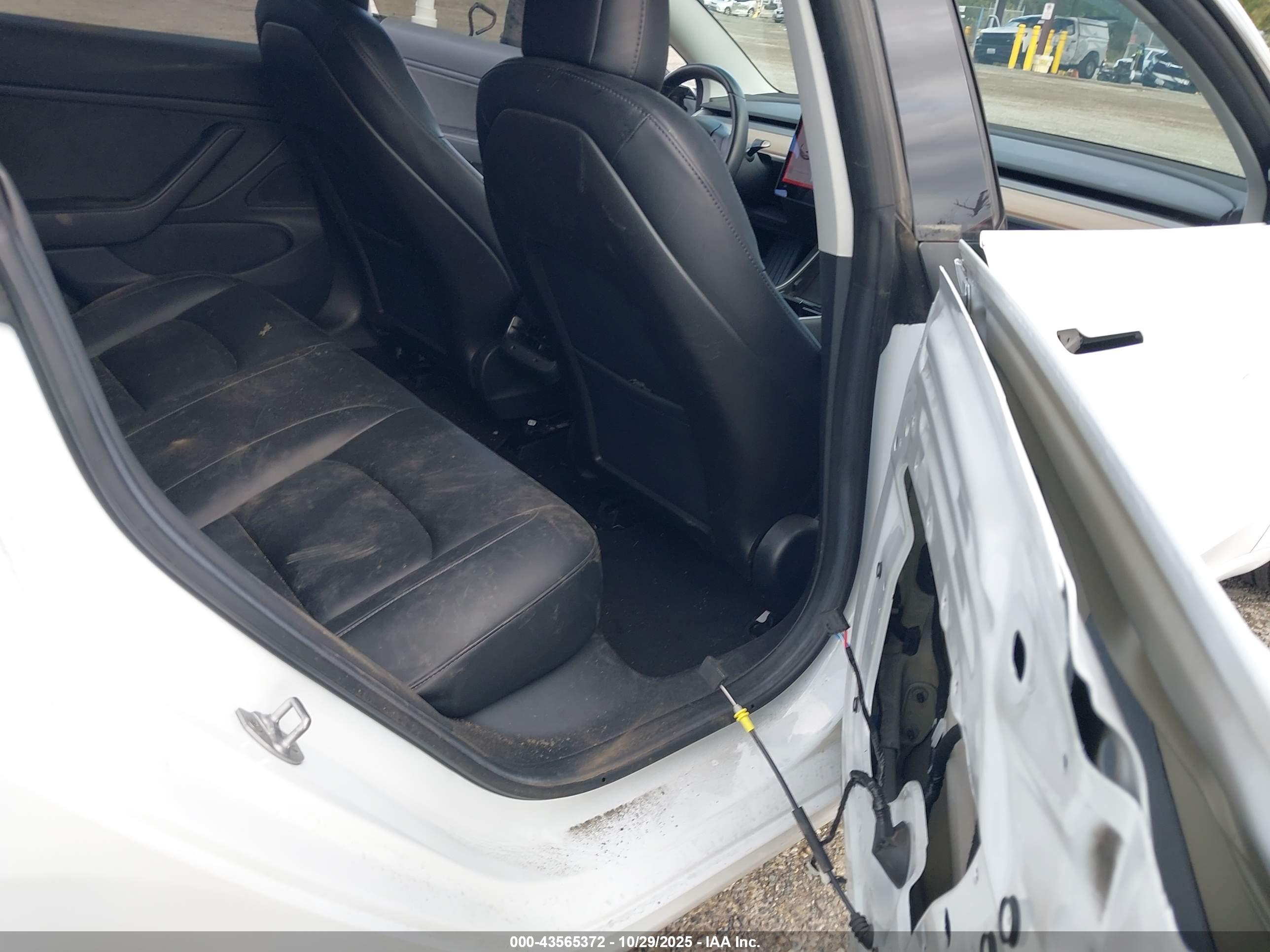TESLA MODEL image 8