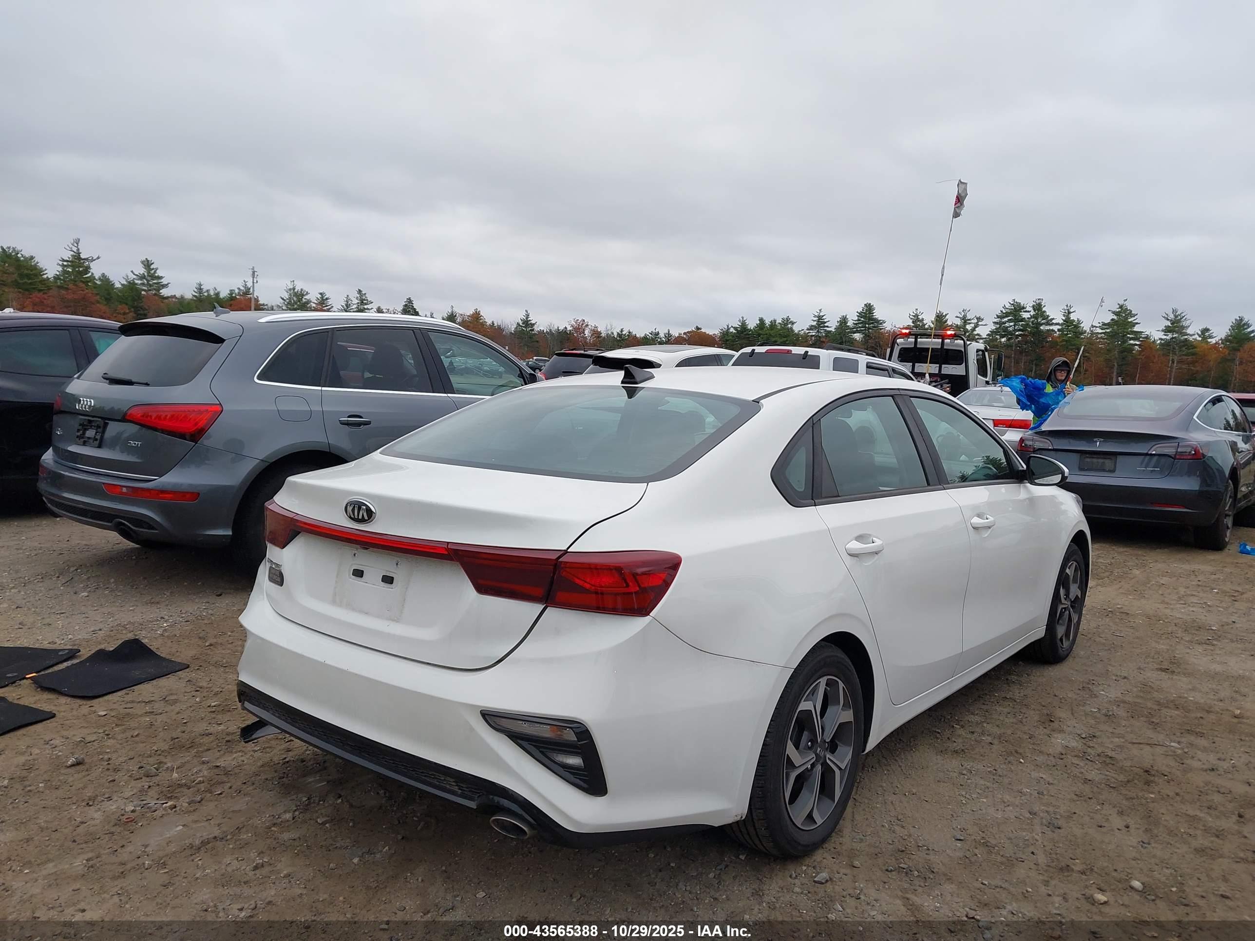 KIA FORTE image 4