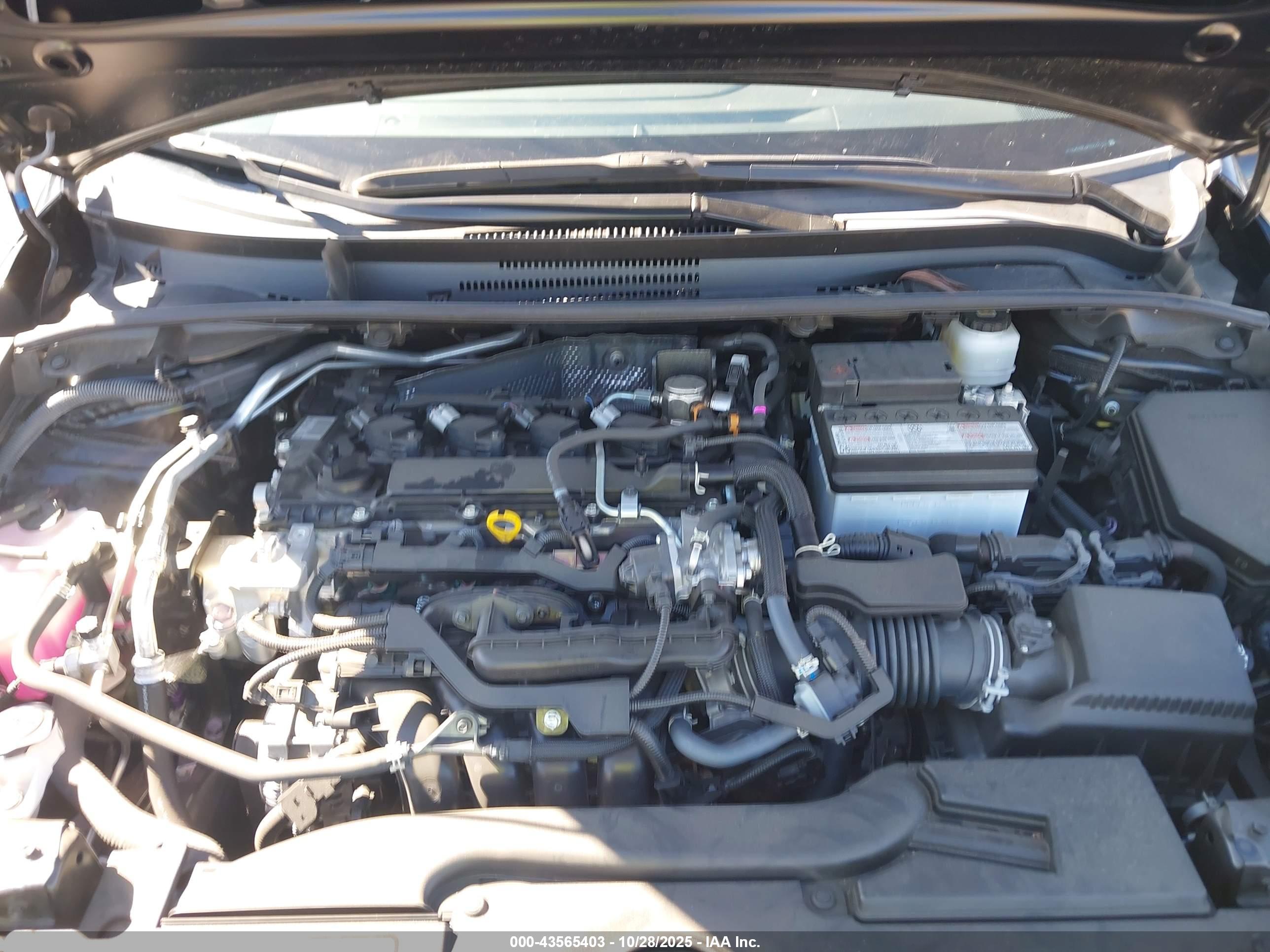 TOYOTA COROLLA image 10