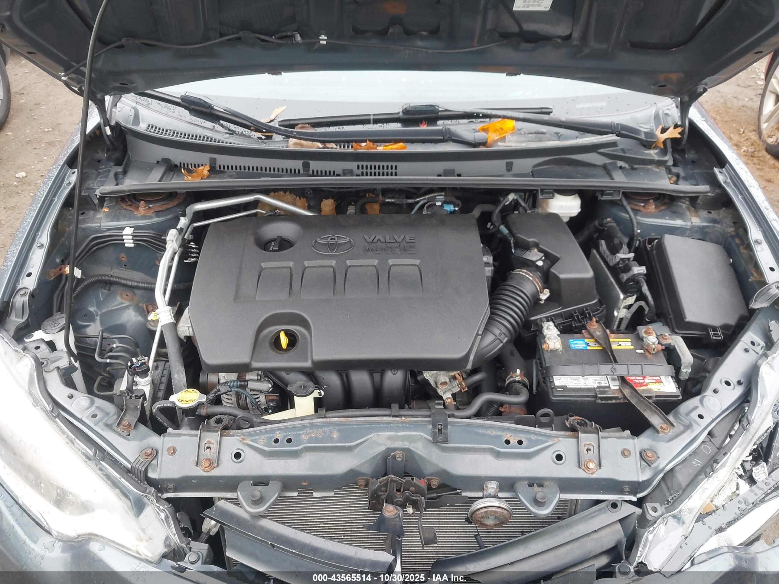 TOYOTA COROLLA image 10