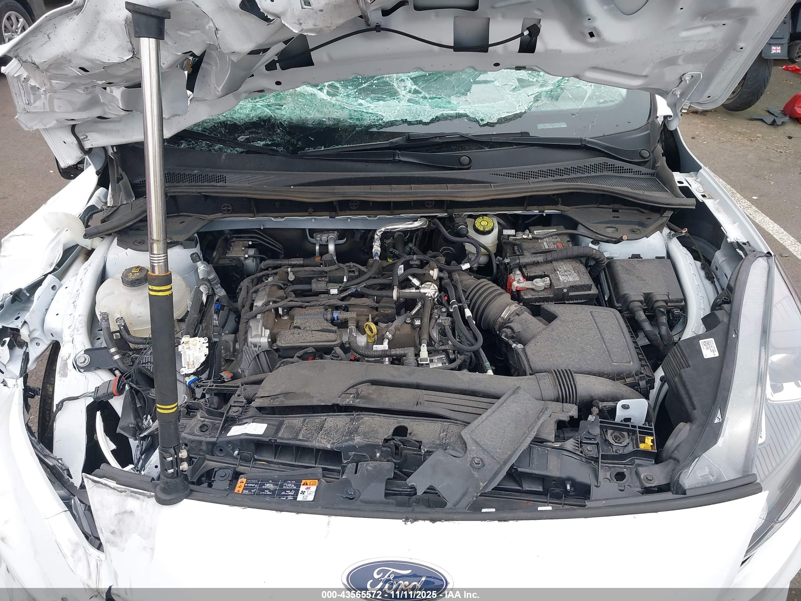 FORD ESCAPE image 10
