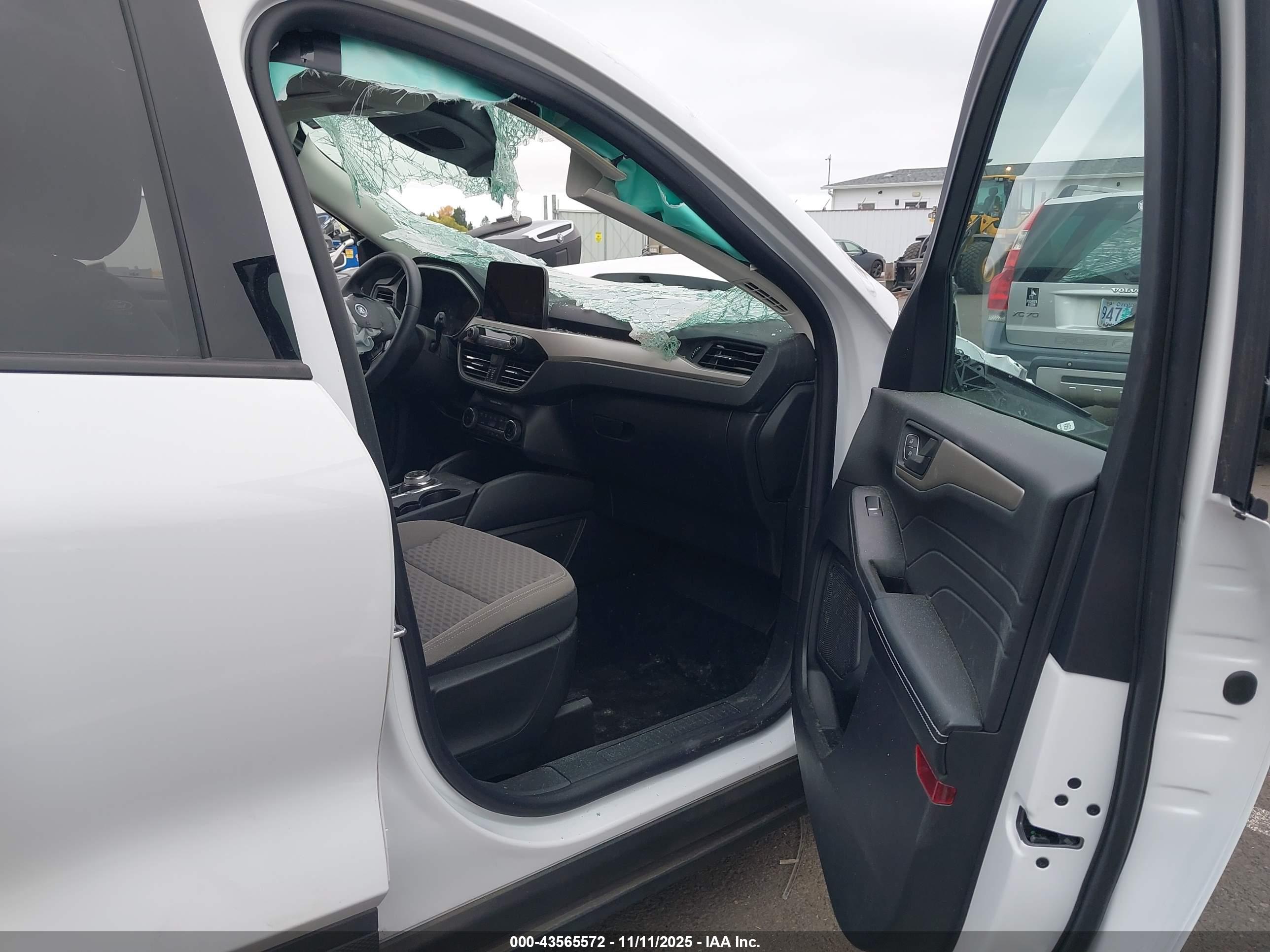 FORD ESCAPE image 5