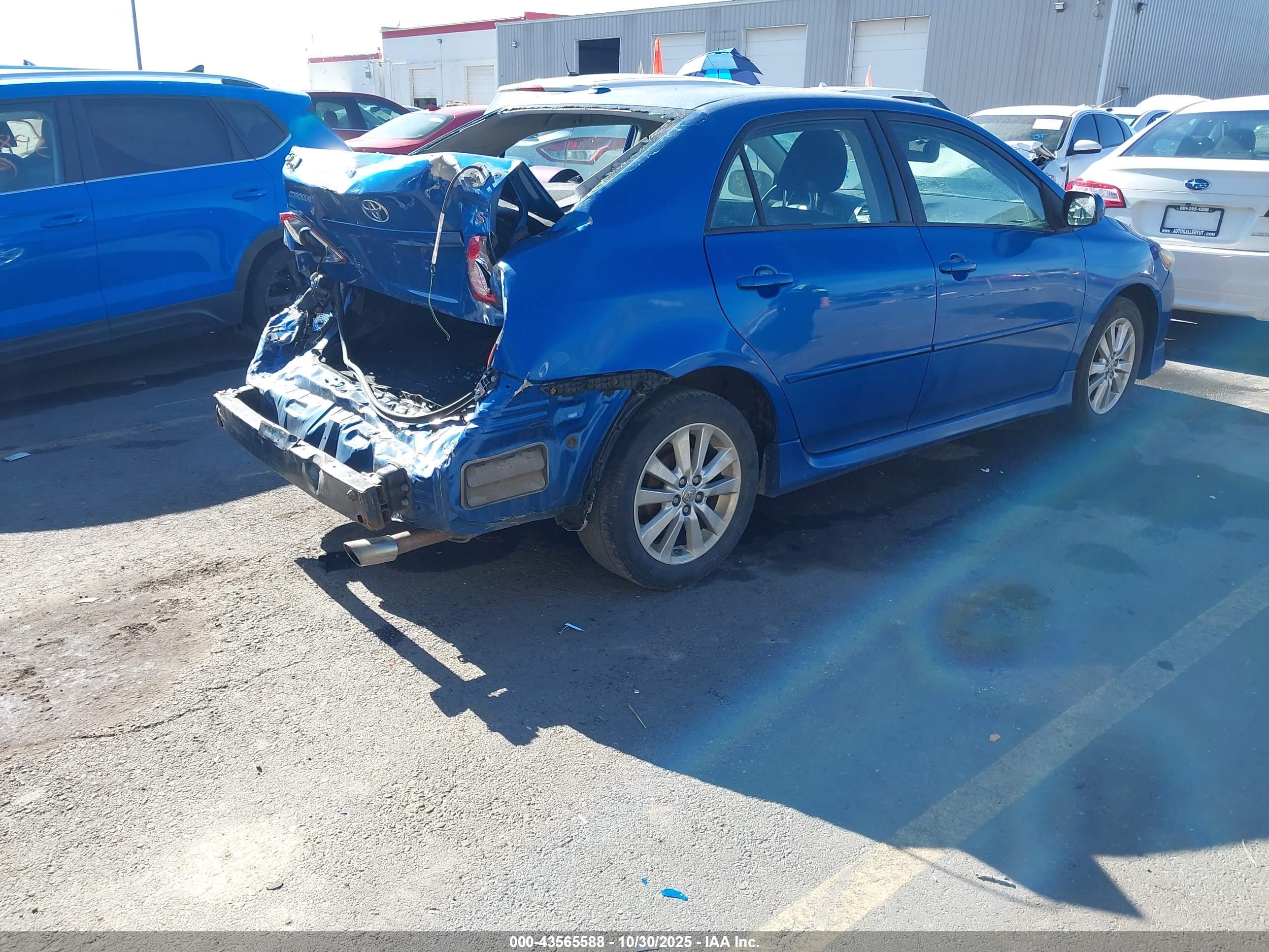TOYOTA COROLLA image 4