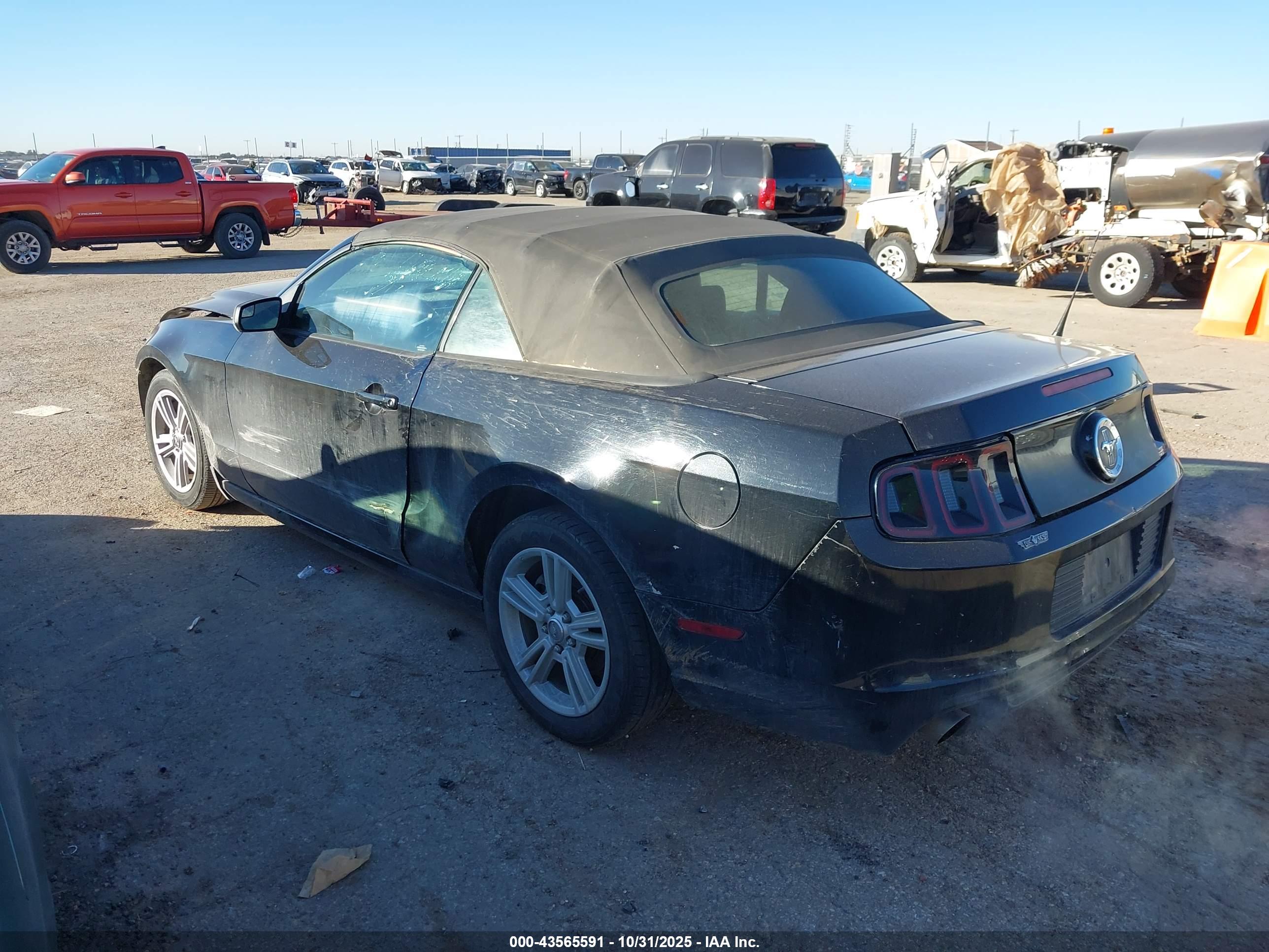FORD MUSTANG image 3