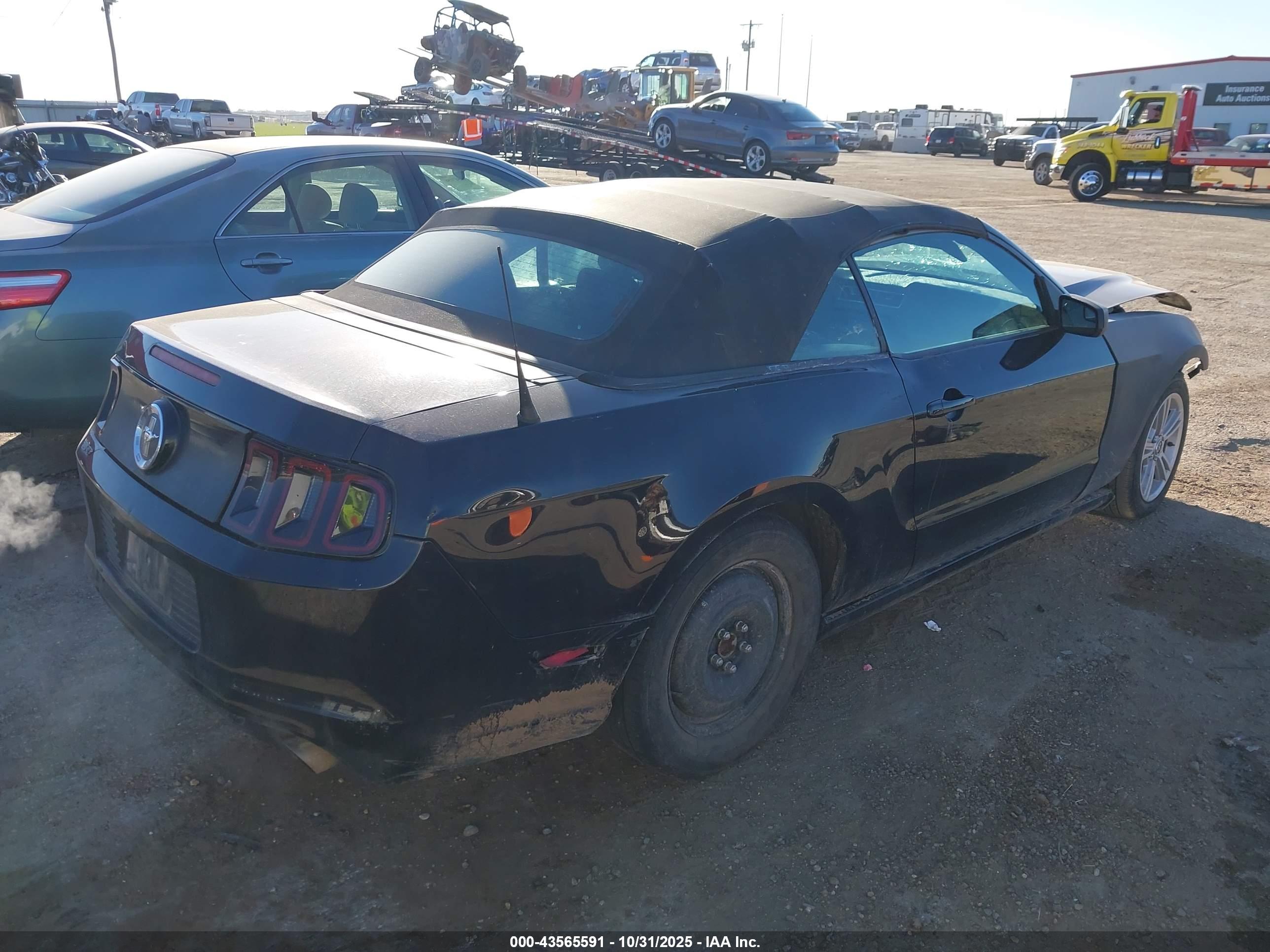 FORD MUSTANG image 4