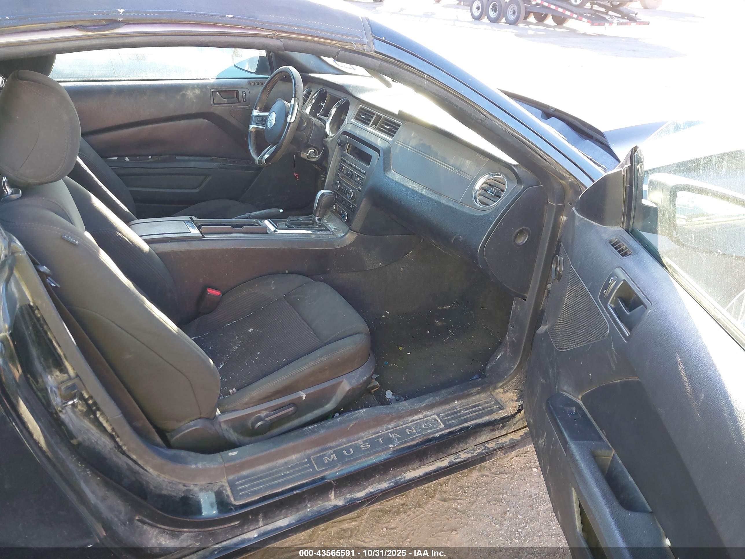 FORD MUSTANG image 5