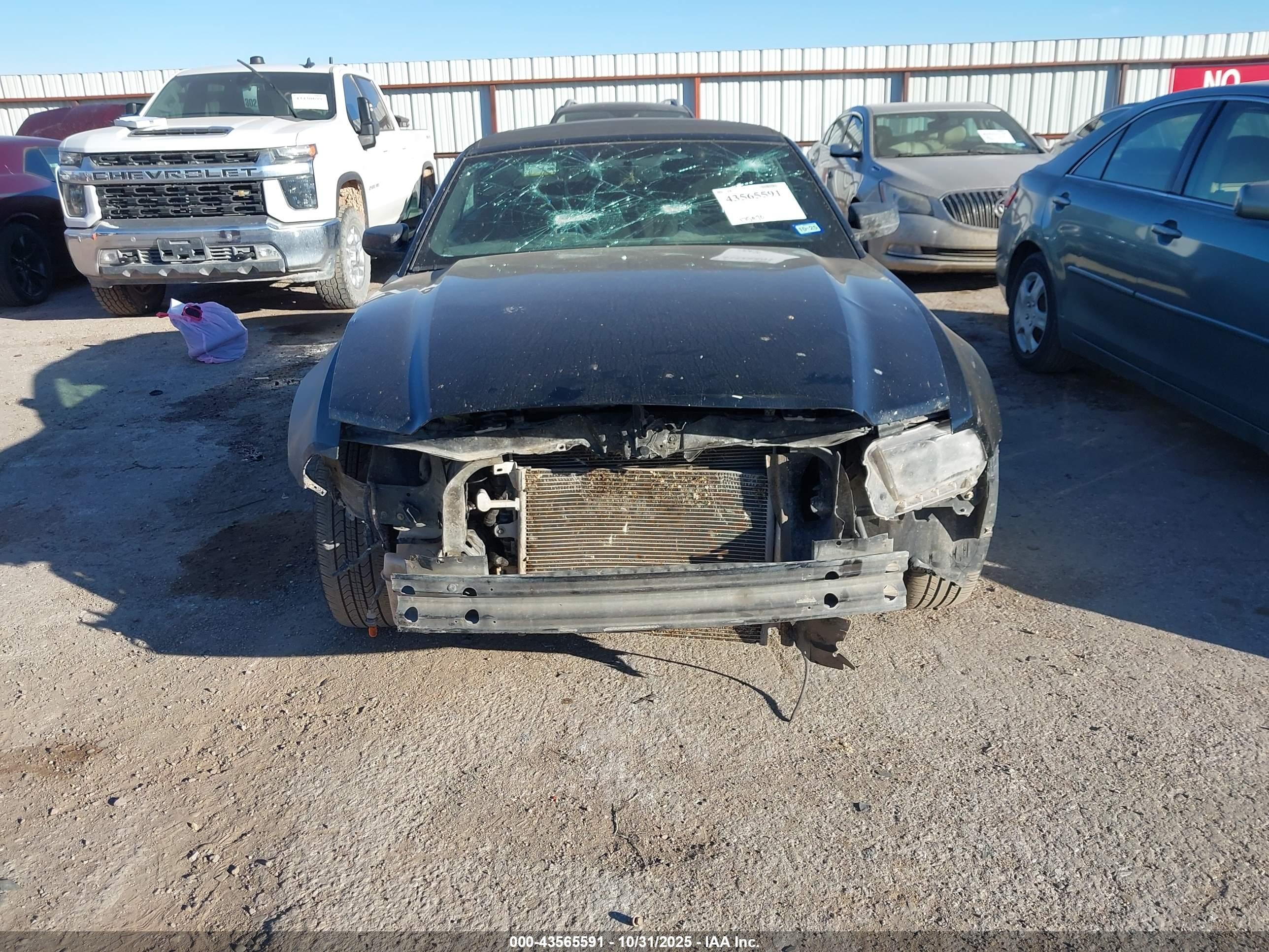 FORD MUSTANG image 6