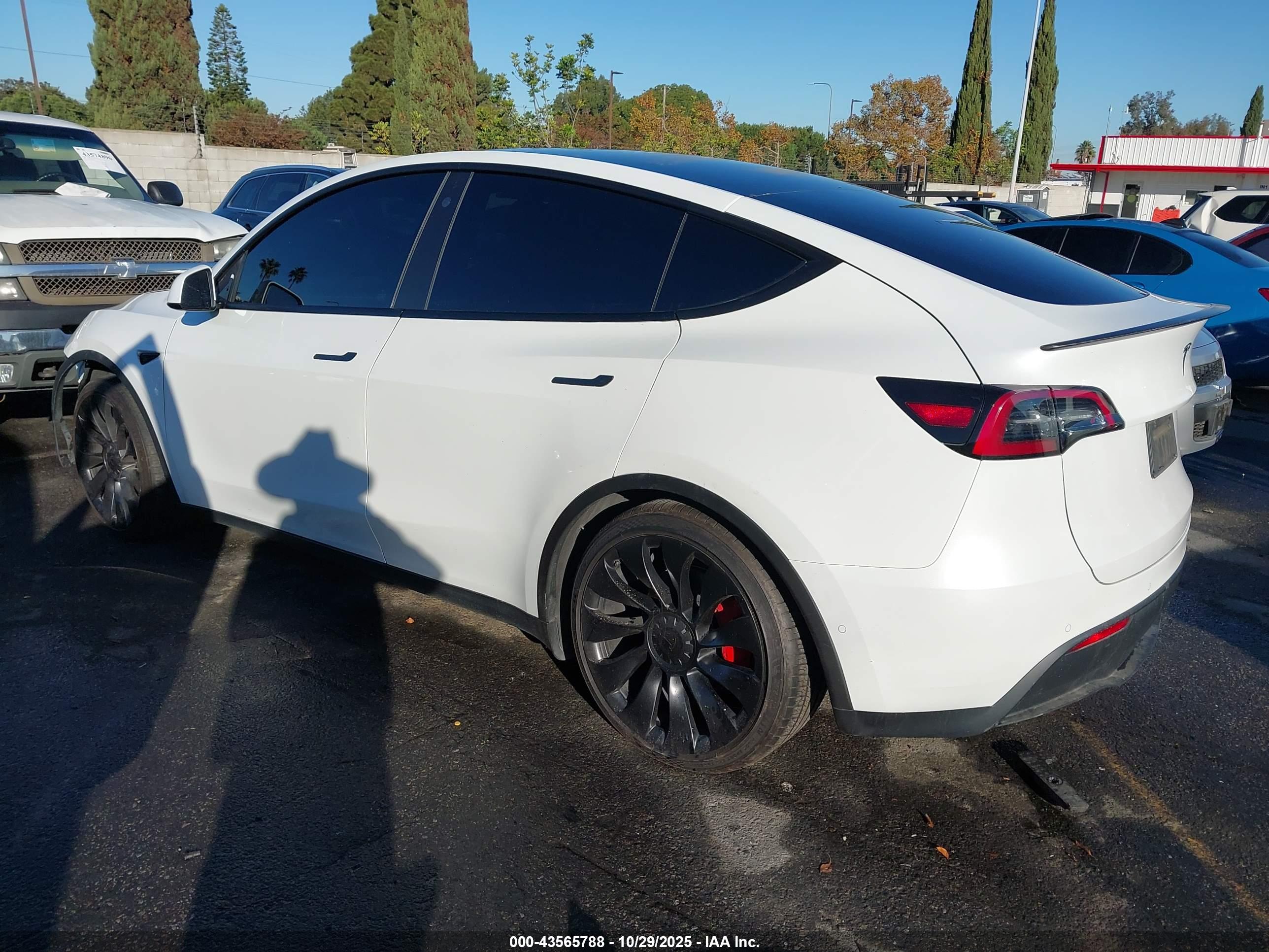 TESLA MODEL image 3