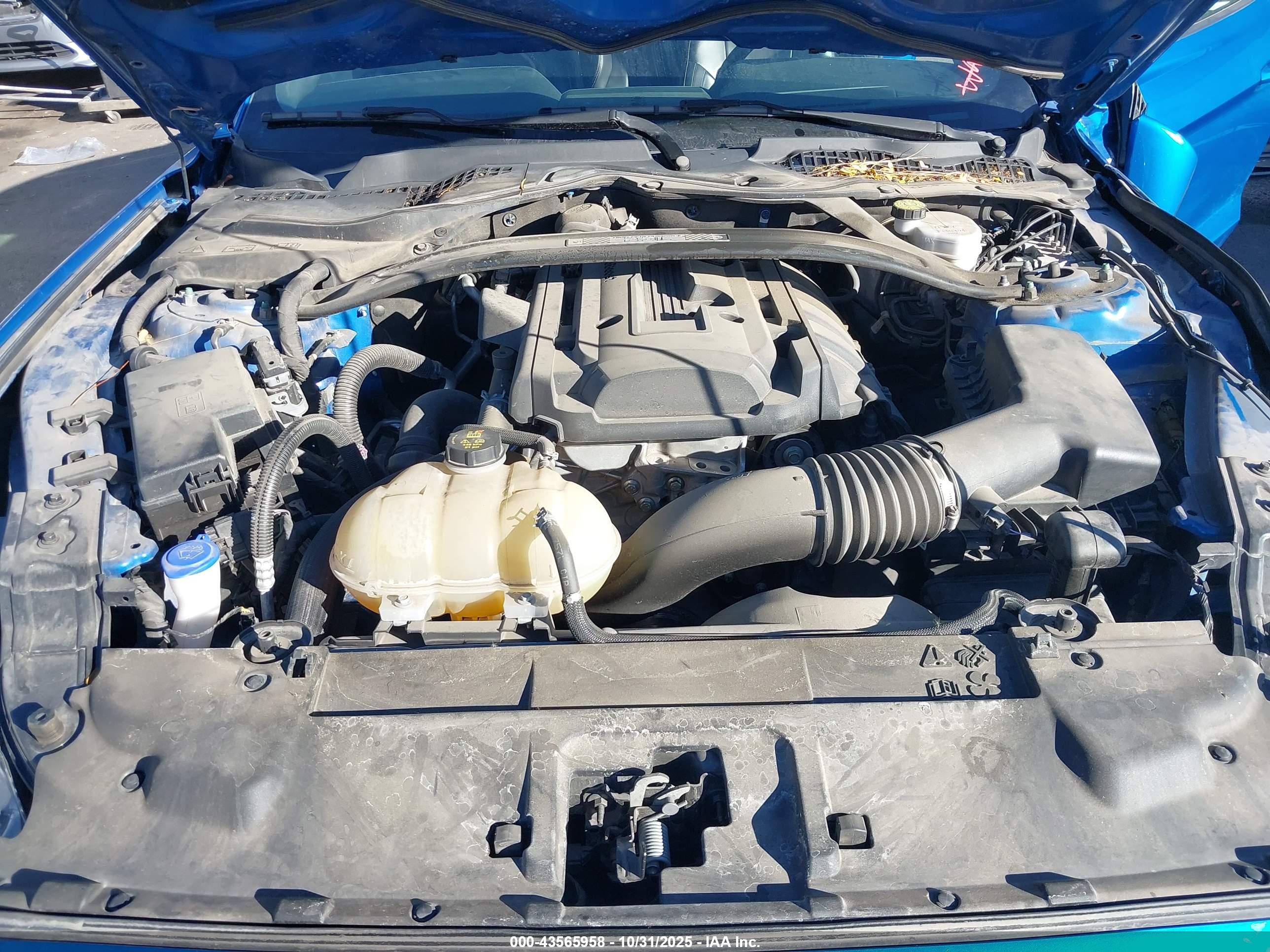 FORD MUSTANG image 10