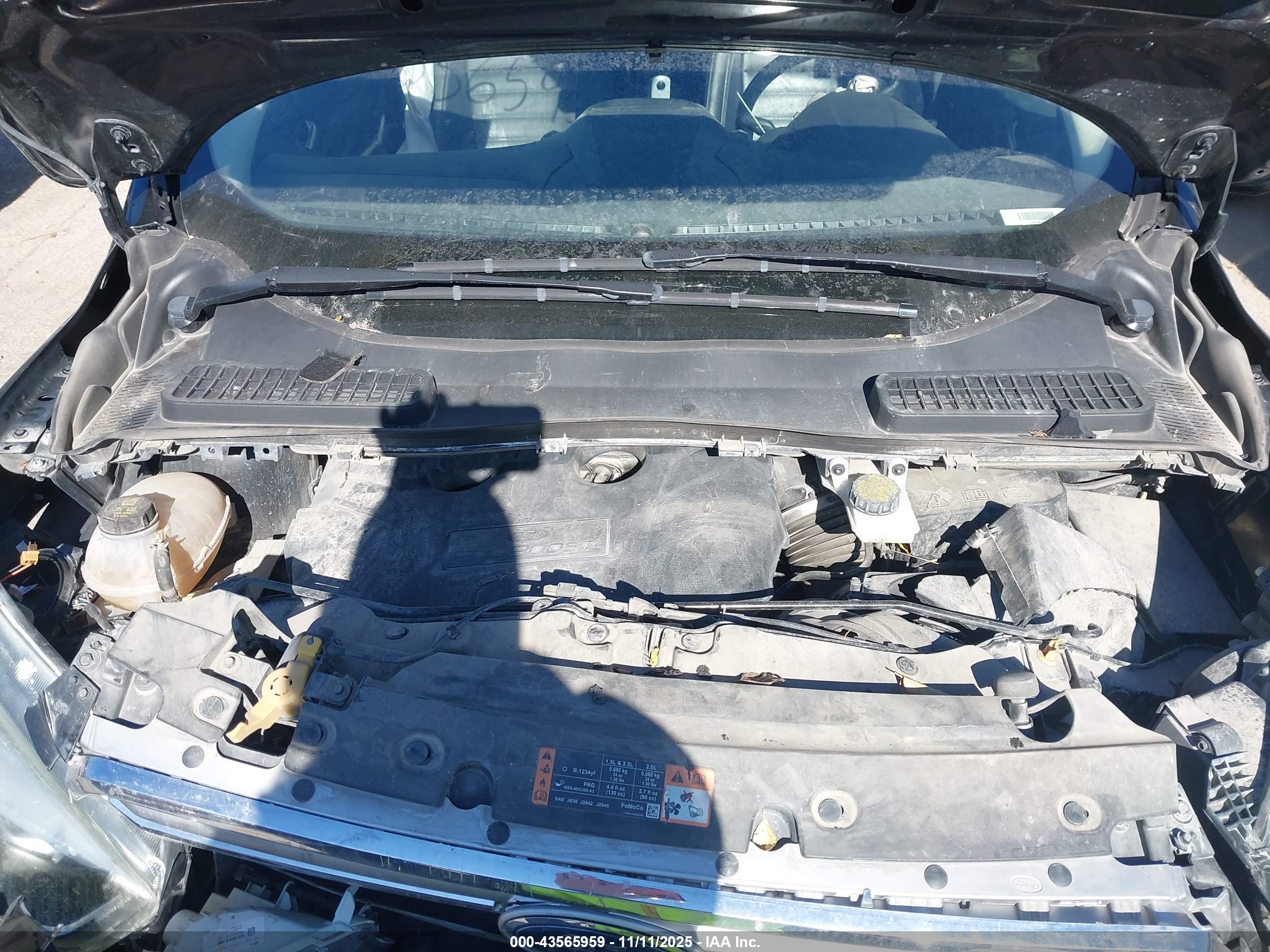 FORD ESCAPE image 10