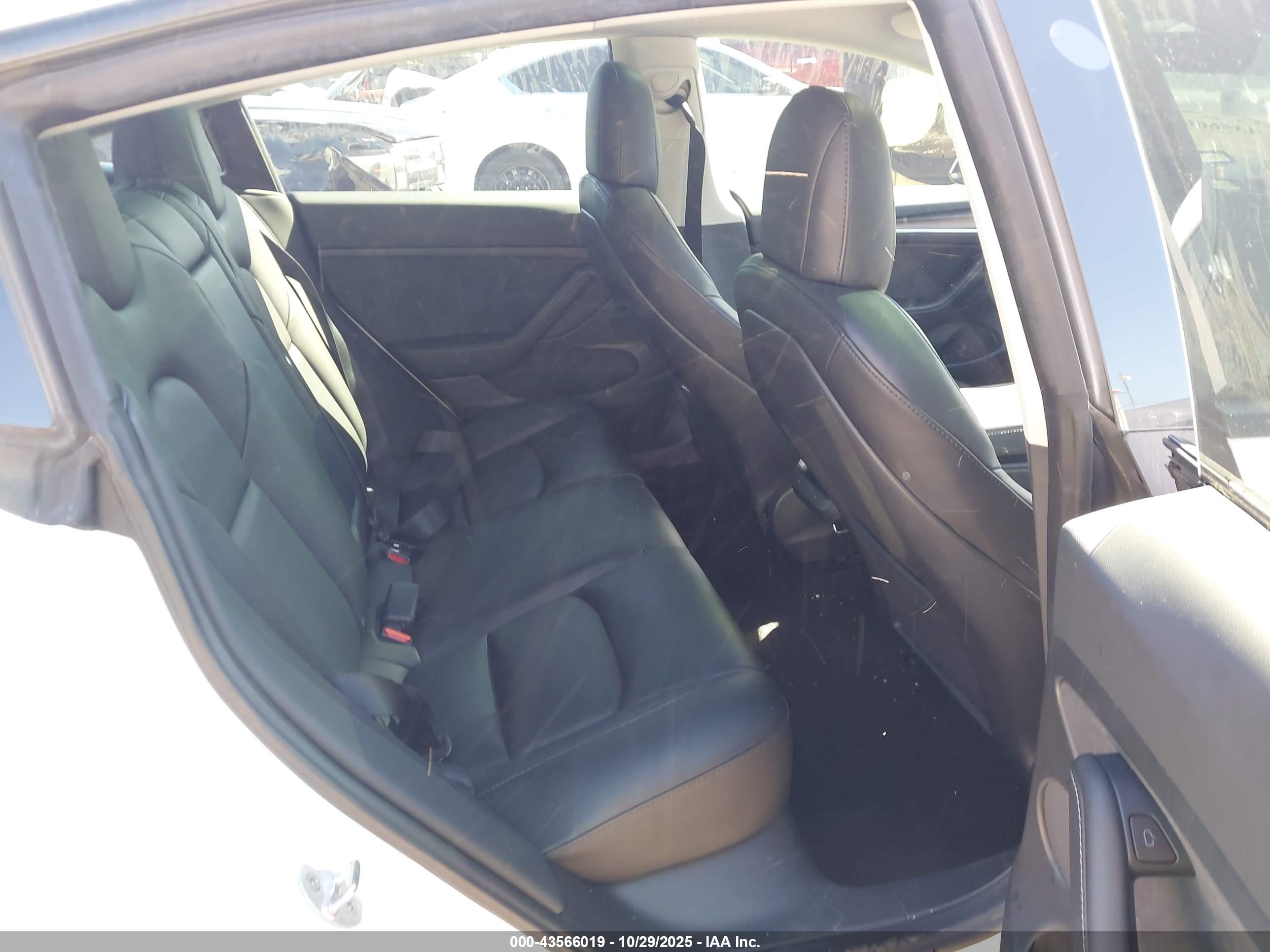 TESLA MODEL image 8