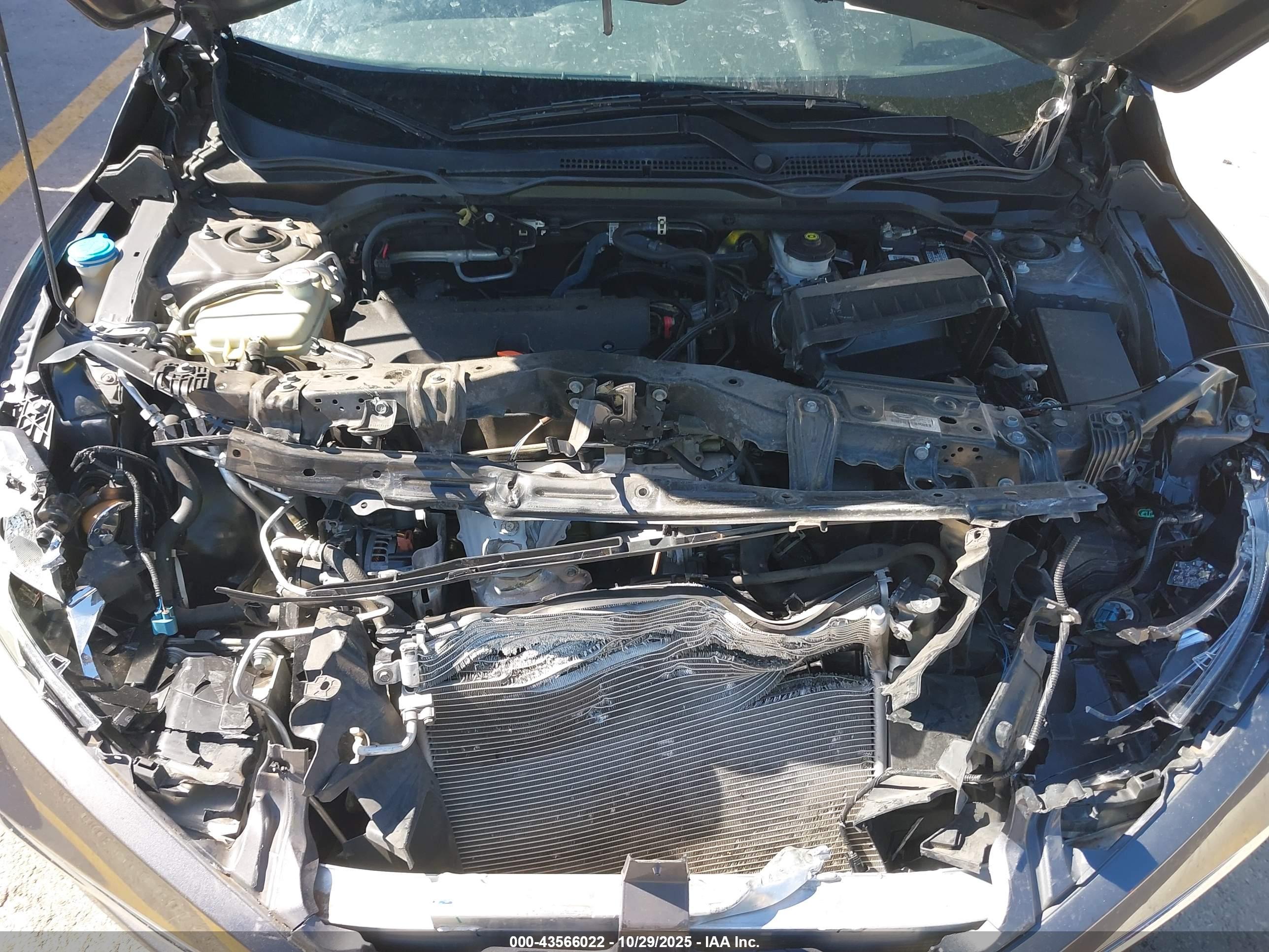HONDA CIVIC image 10
