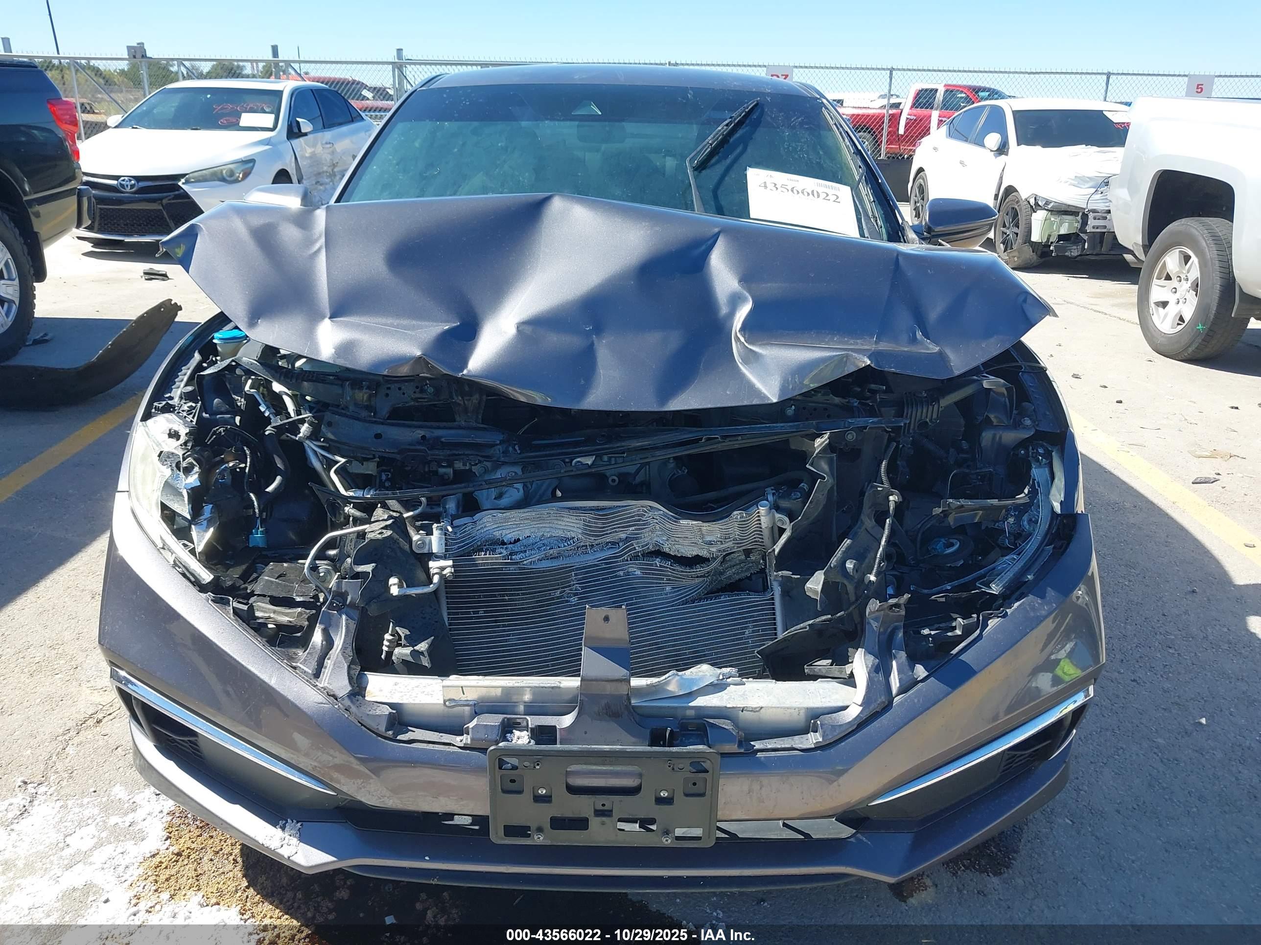 HONDA CIVIC image 6