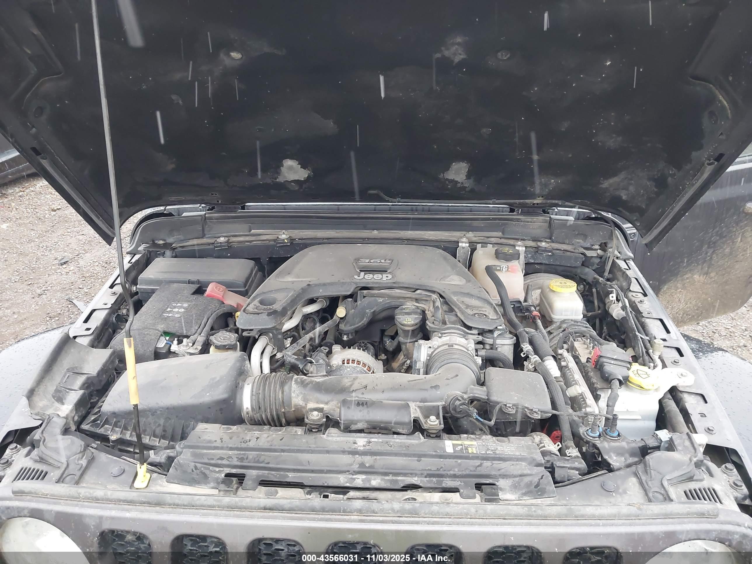 JEEP WRANGLER image 10